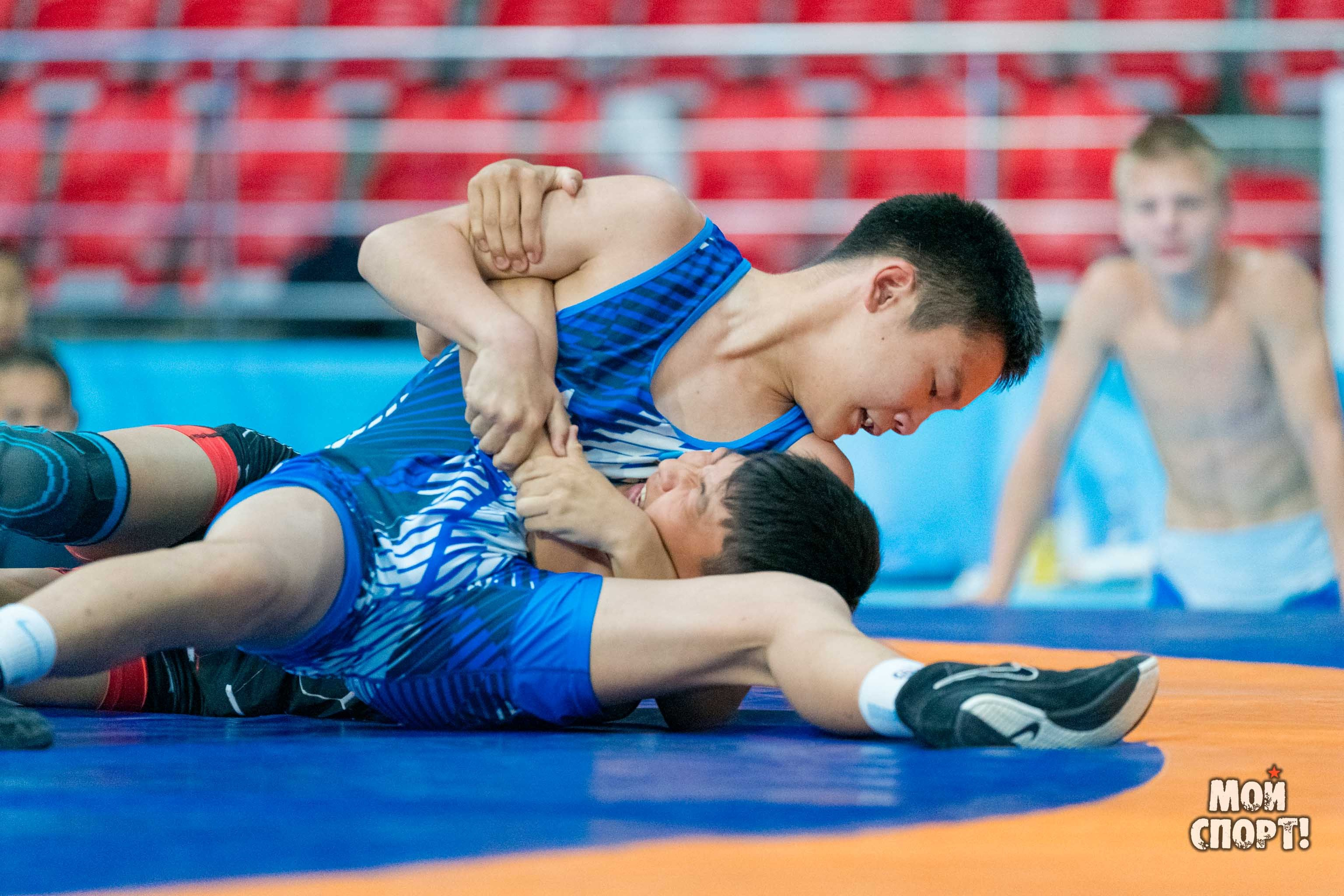 Соревнования по вольной борьбе в честь П. П. Пинигина. Студия «Мой Спорт!» — все о спорте в Якутии