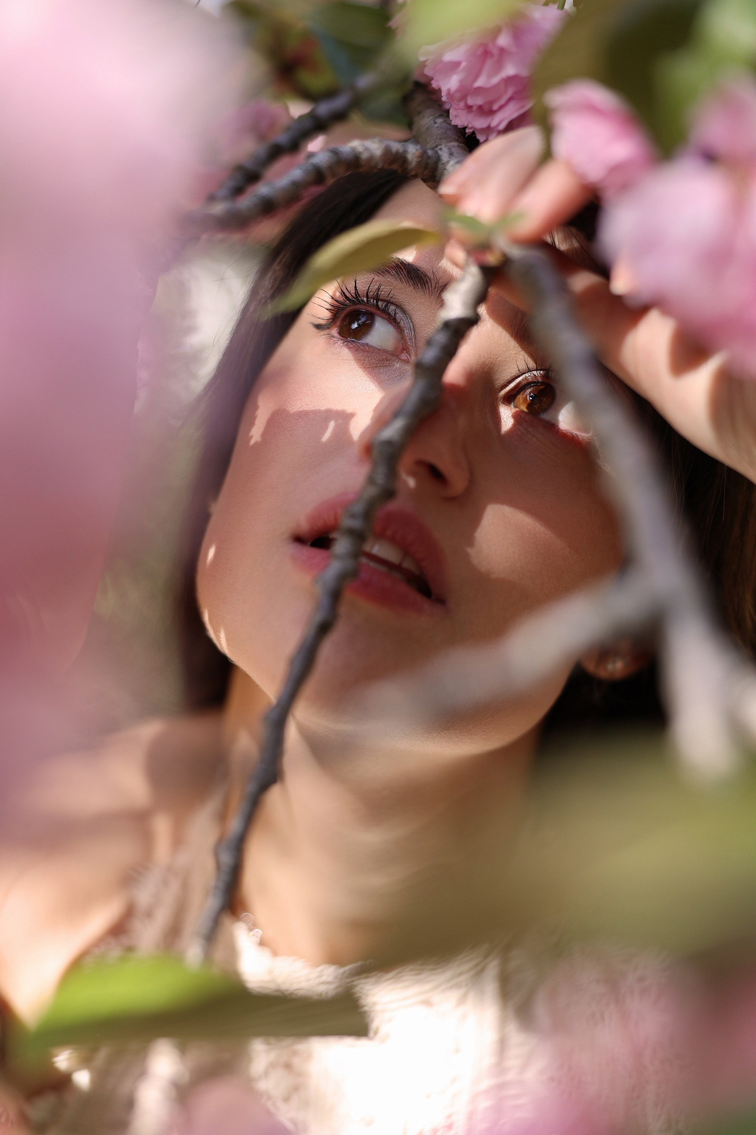Busan Photographer. Photographer in Busan | Royal Cherry Blossom Solo Photoshoot