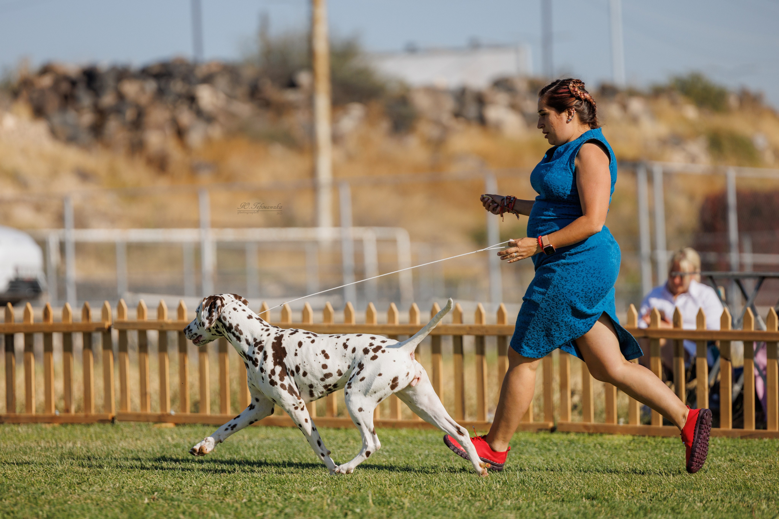 Ереван 14-16.10.2025. Фотограф-анималист Юлия Германика