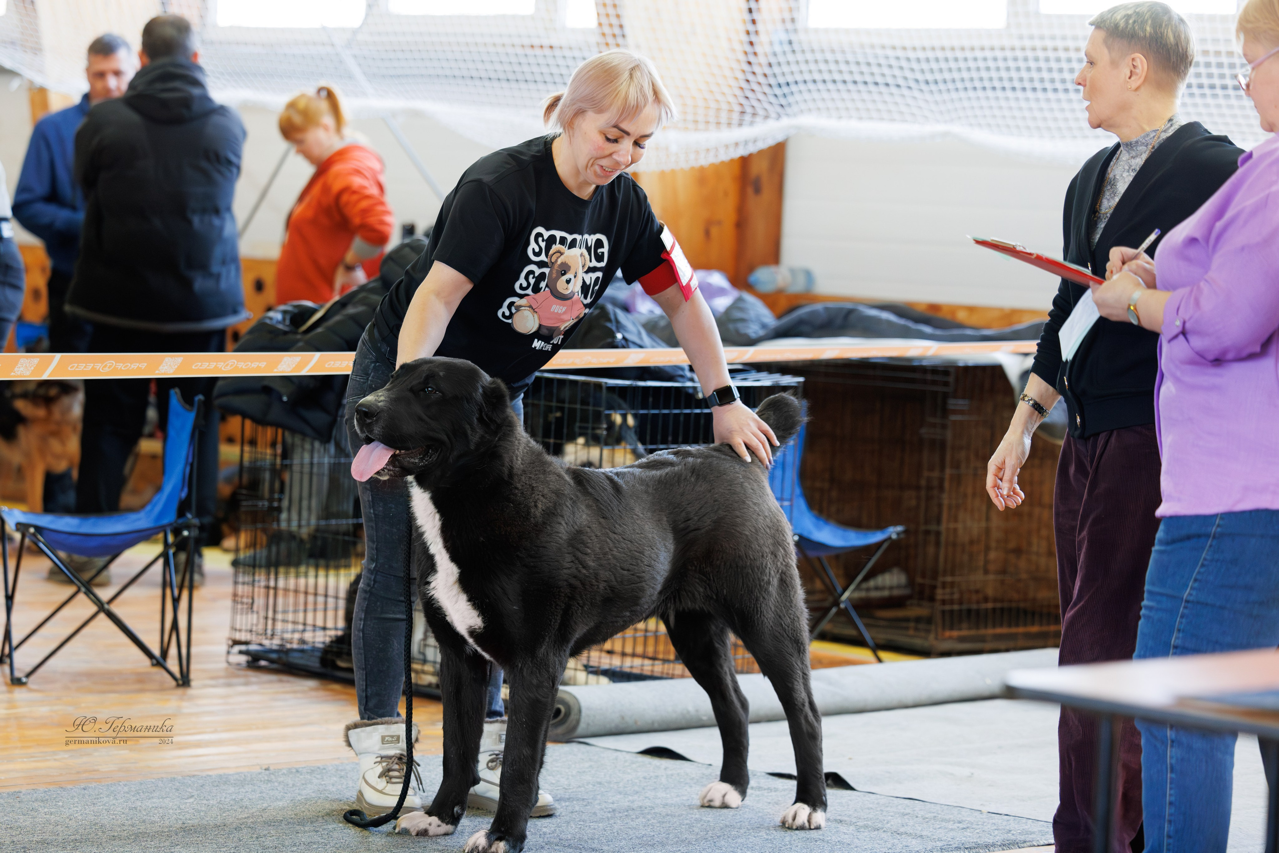 Тверь 23.03.2025. Фотограф-анималист Юлия Германика