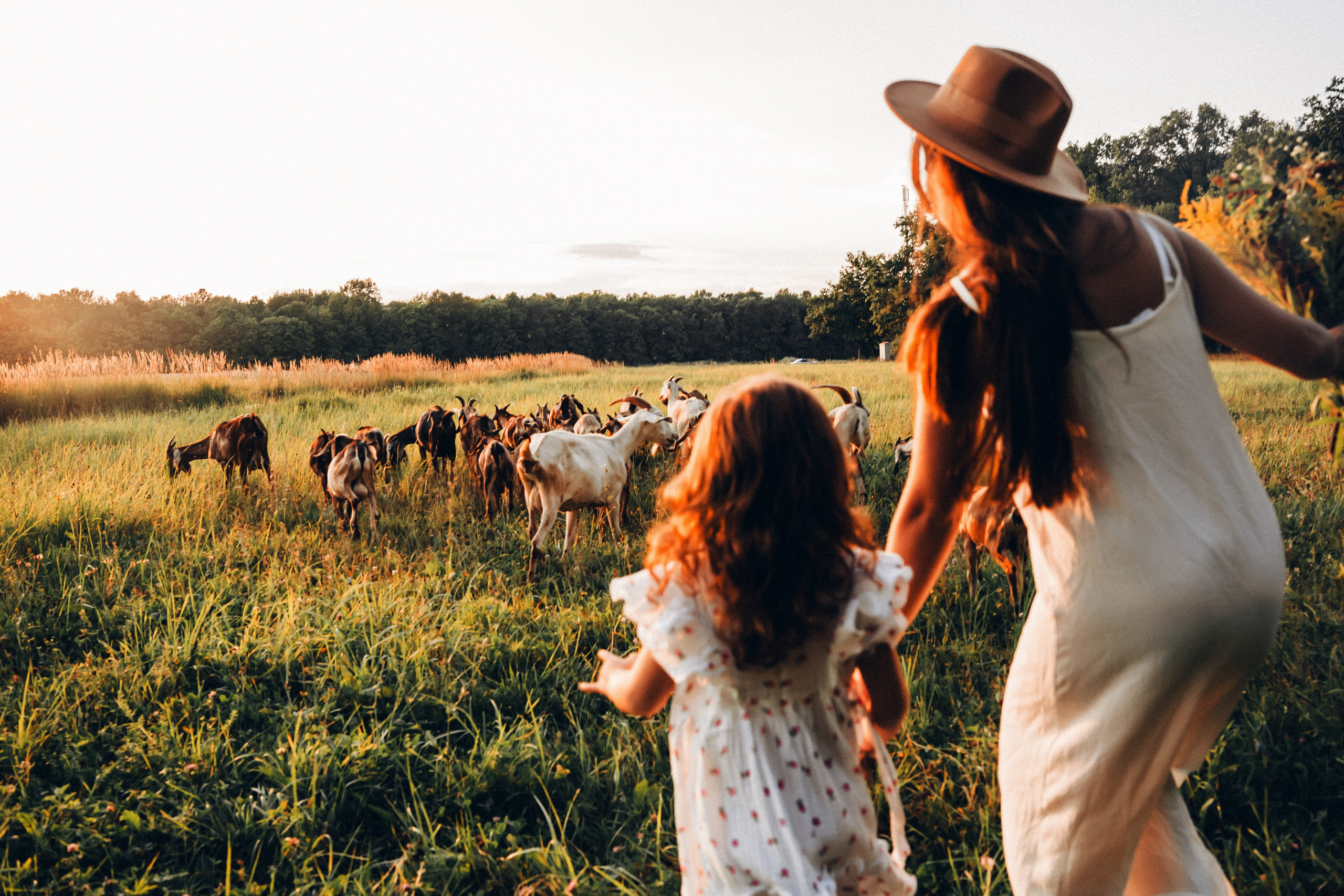 Семейная съемка на закате