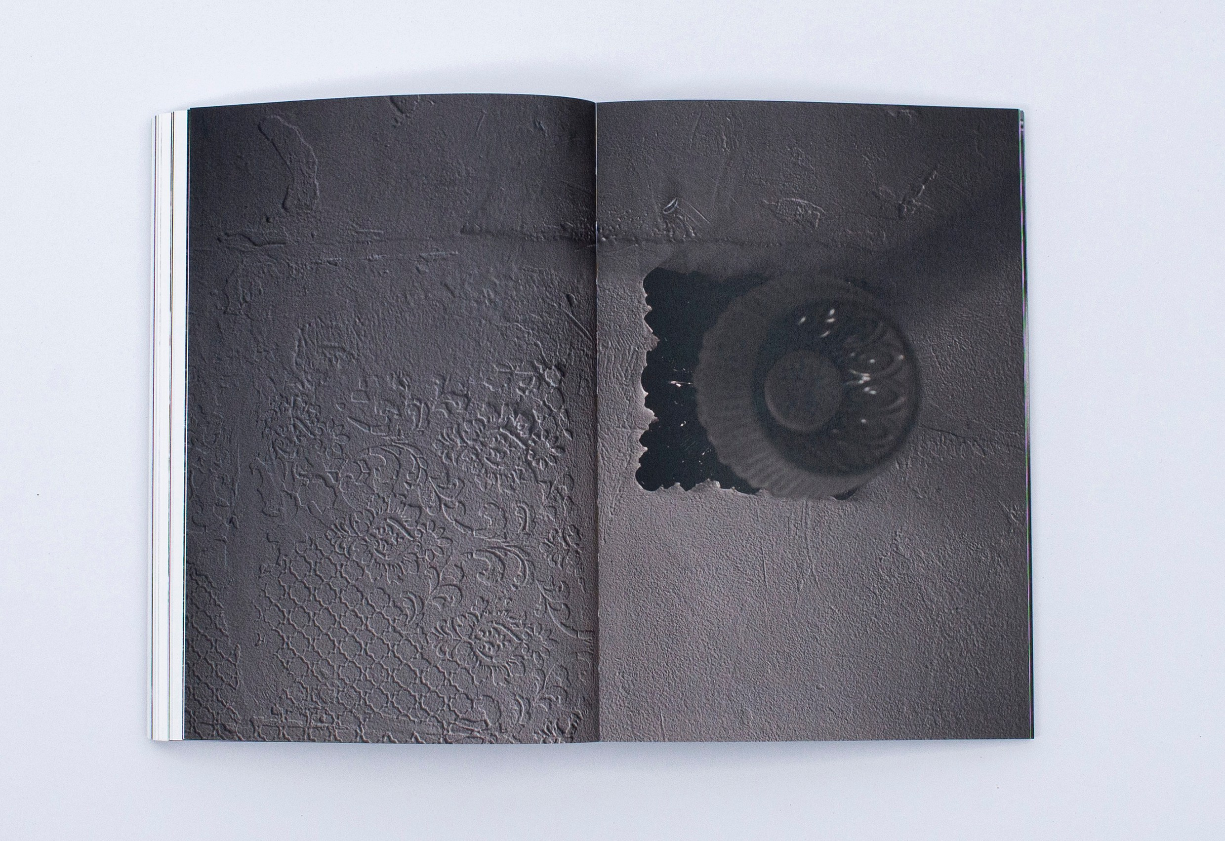 Книга. Фотограф в Москве Алейникова Евгения