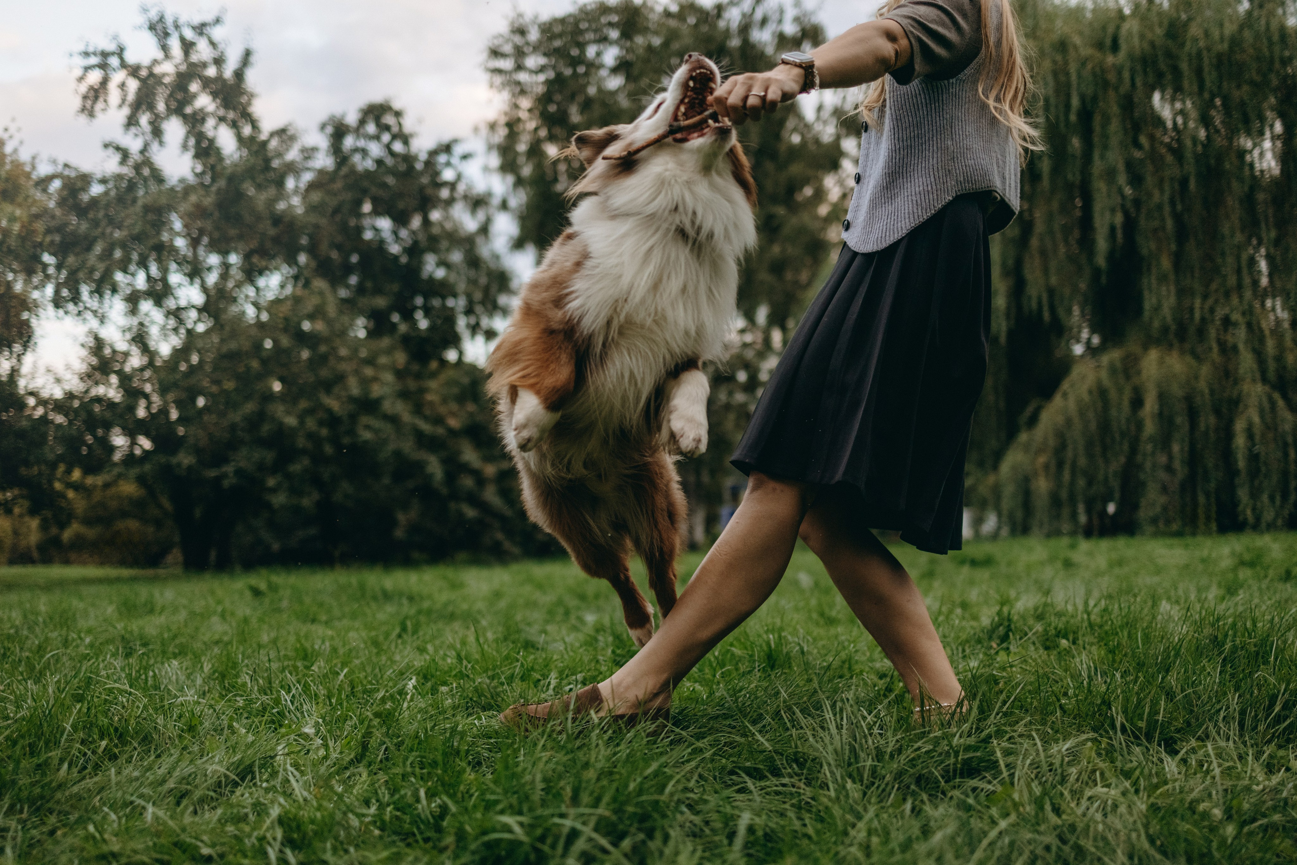 Маша и Эклер. Фотограф — Анималист | Санкт-Петербург