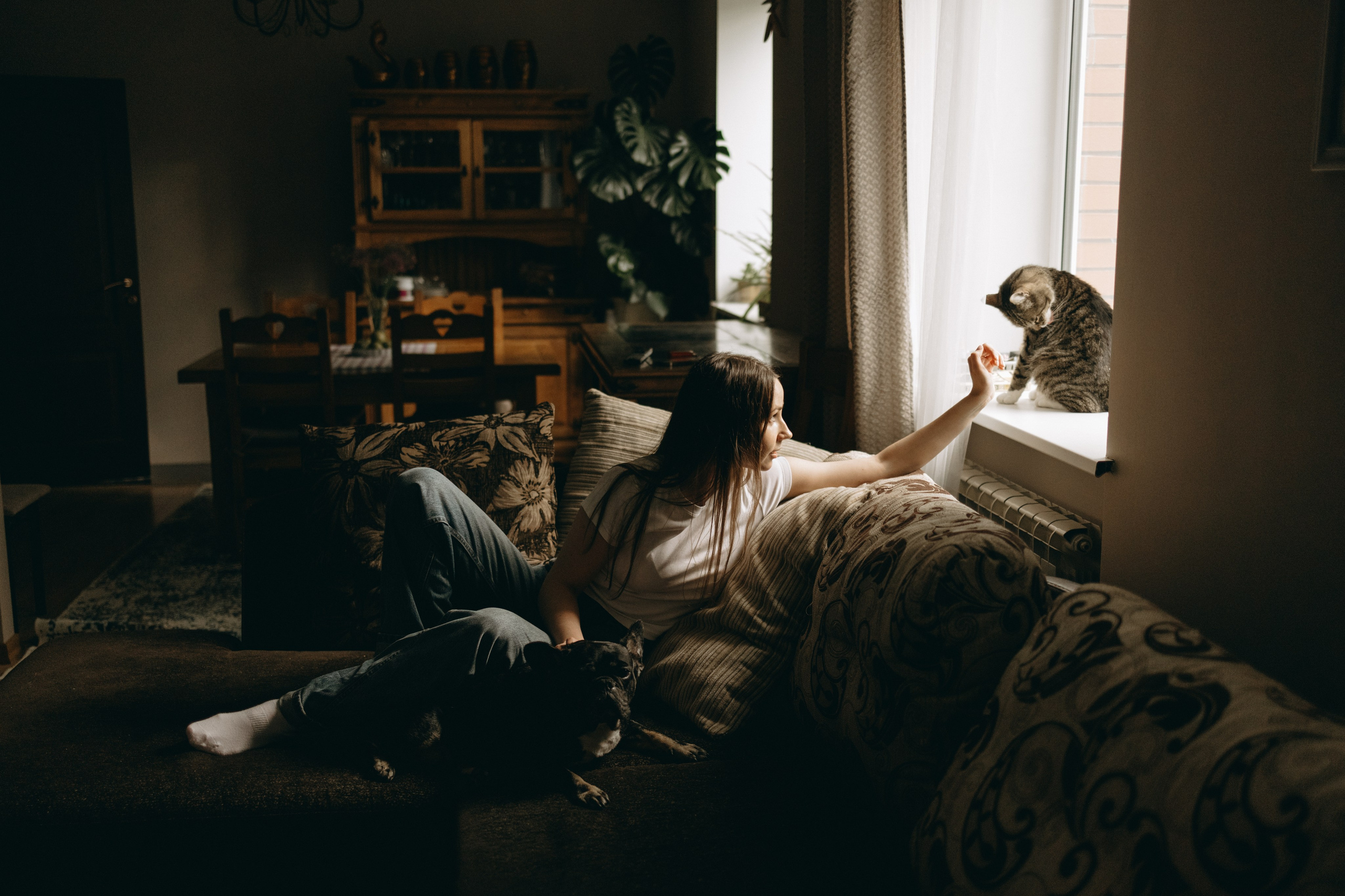 Софа и ее хвостики. Фотограф — Анималист | Санкт-Петербург