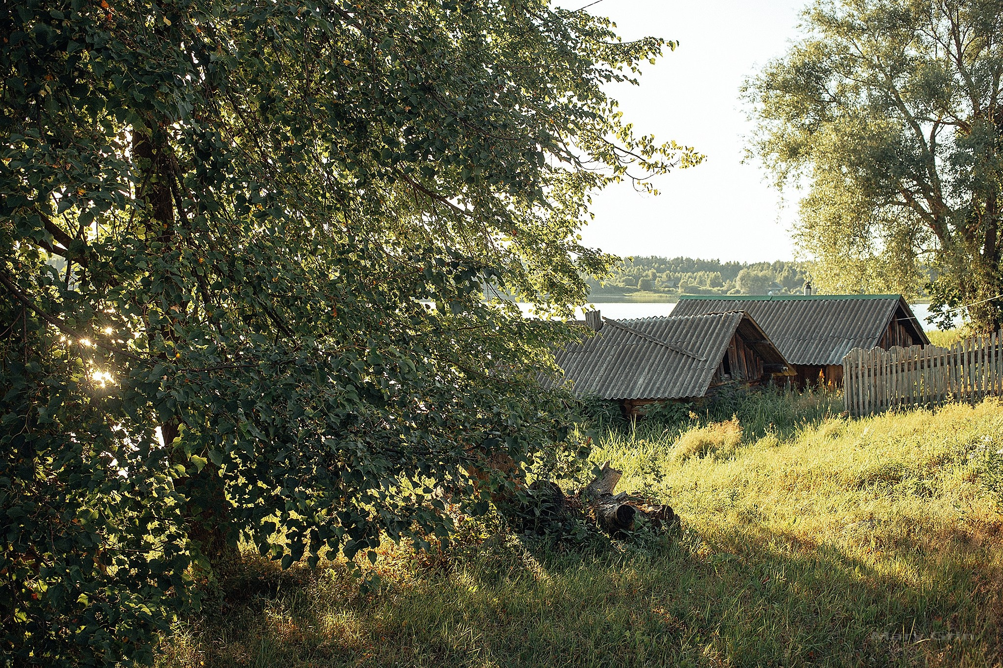 Русская деревня. Детский и семейный фотограф, фотограф мероприятий Нижний Новгород