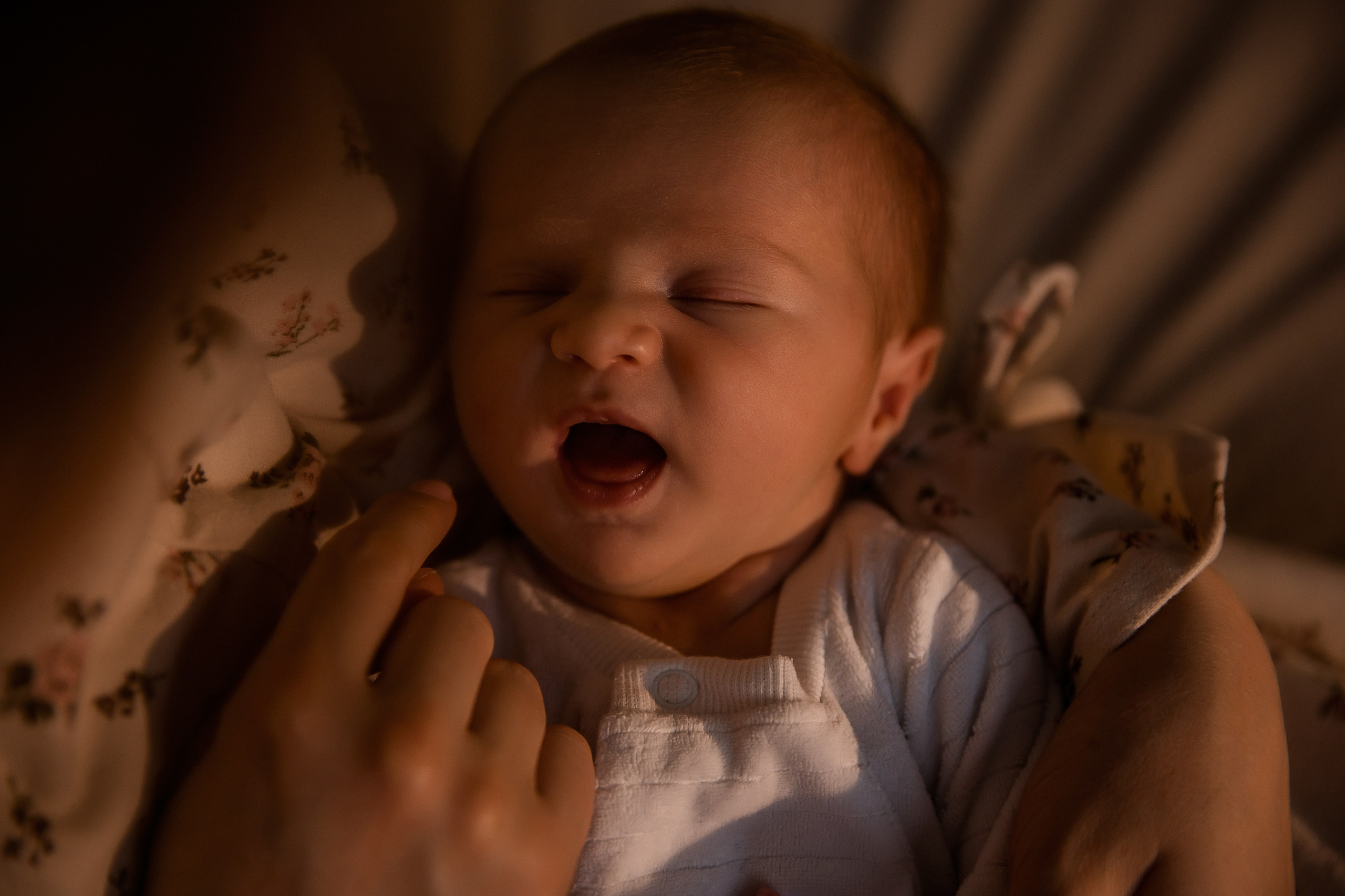 Домашние фотосессии. Семейный и детский фотограф в Москве Вера Ускова