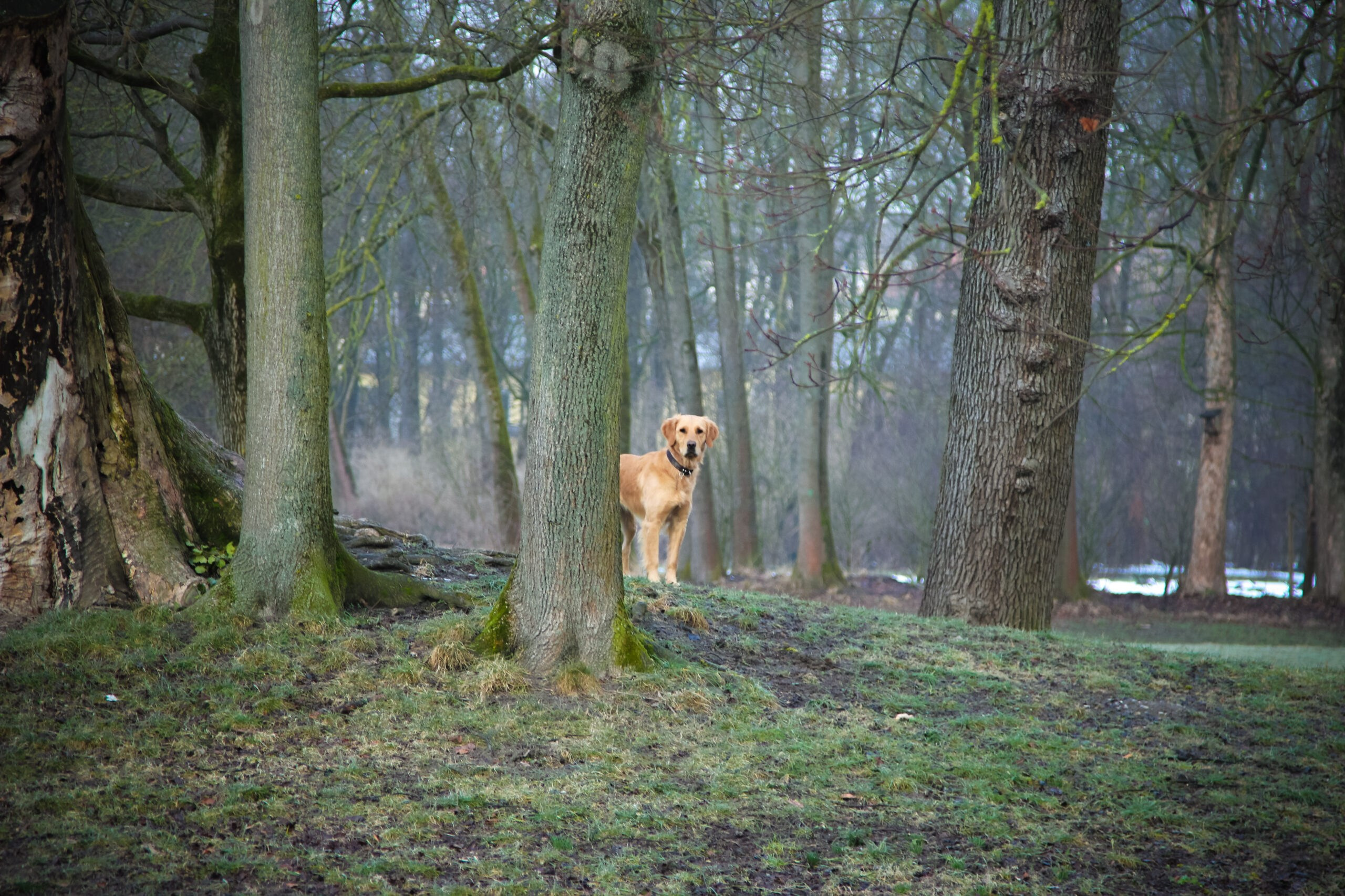 Landscape. Noam Paradise Photographer