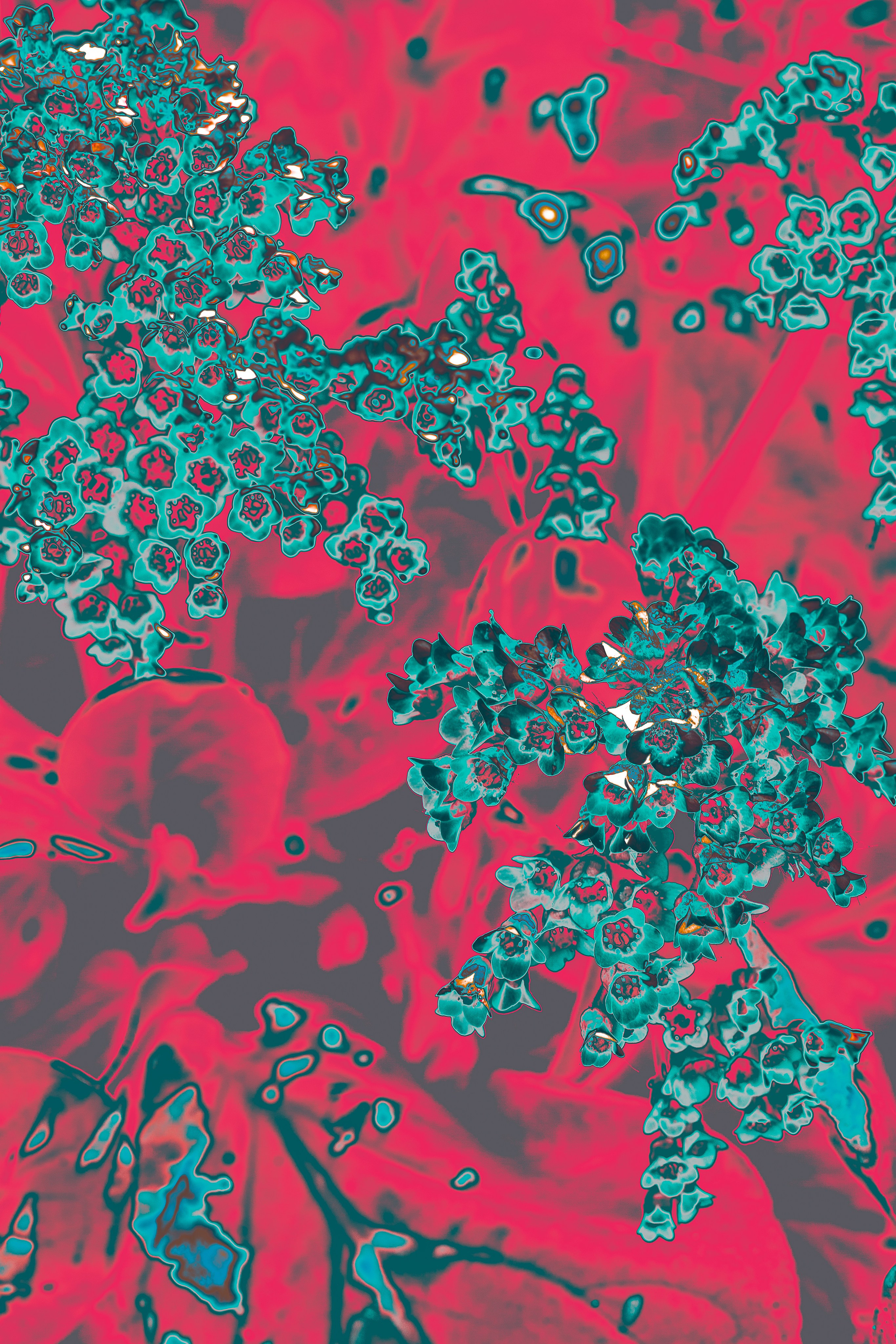 NON-EXISTENT FLOWERS. Фотограф Евгений Чащихин RGB АРХИТЕКТОР в Перми