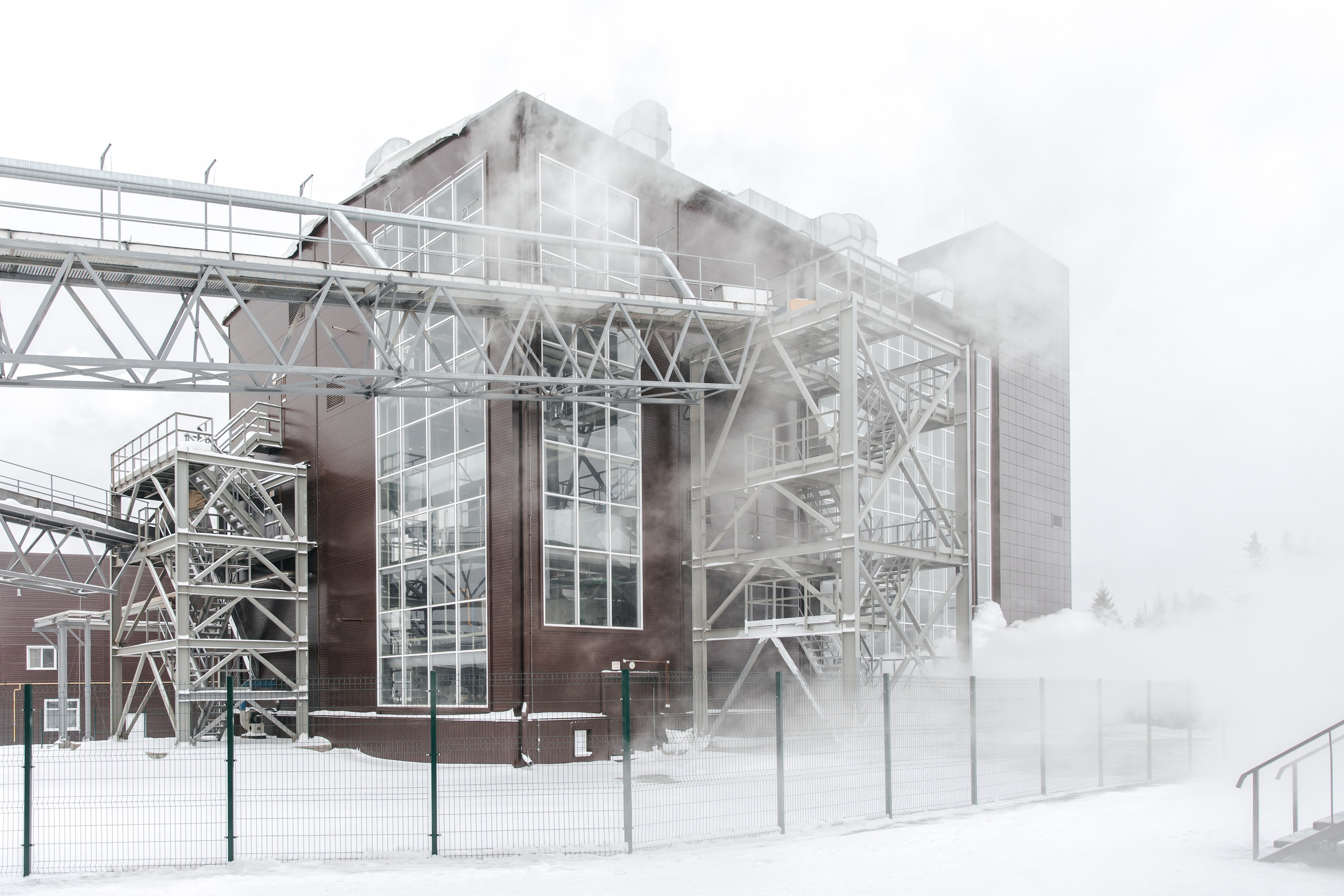 Диво Алтая. Производитель подсолнечного масла. Лихошерстов Андрей — фотограф для бизнеса из Сибири