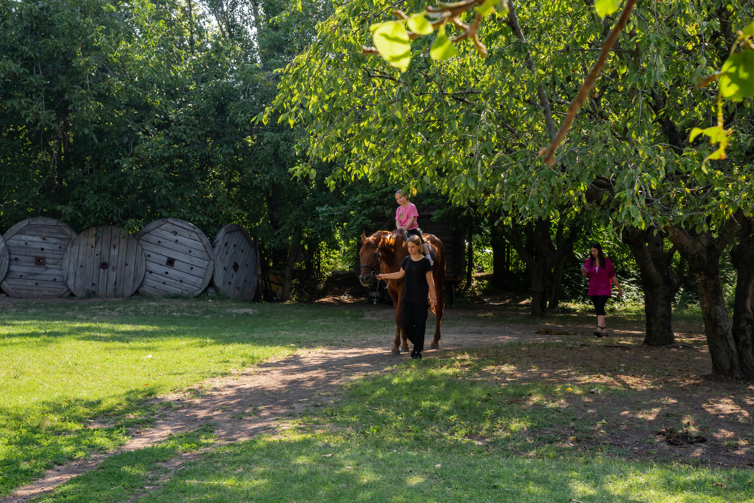 Конная прогулка. Фотограф Галина Нестерова