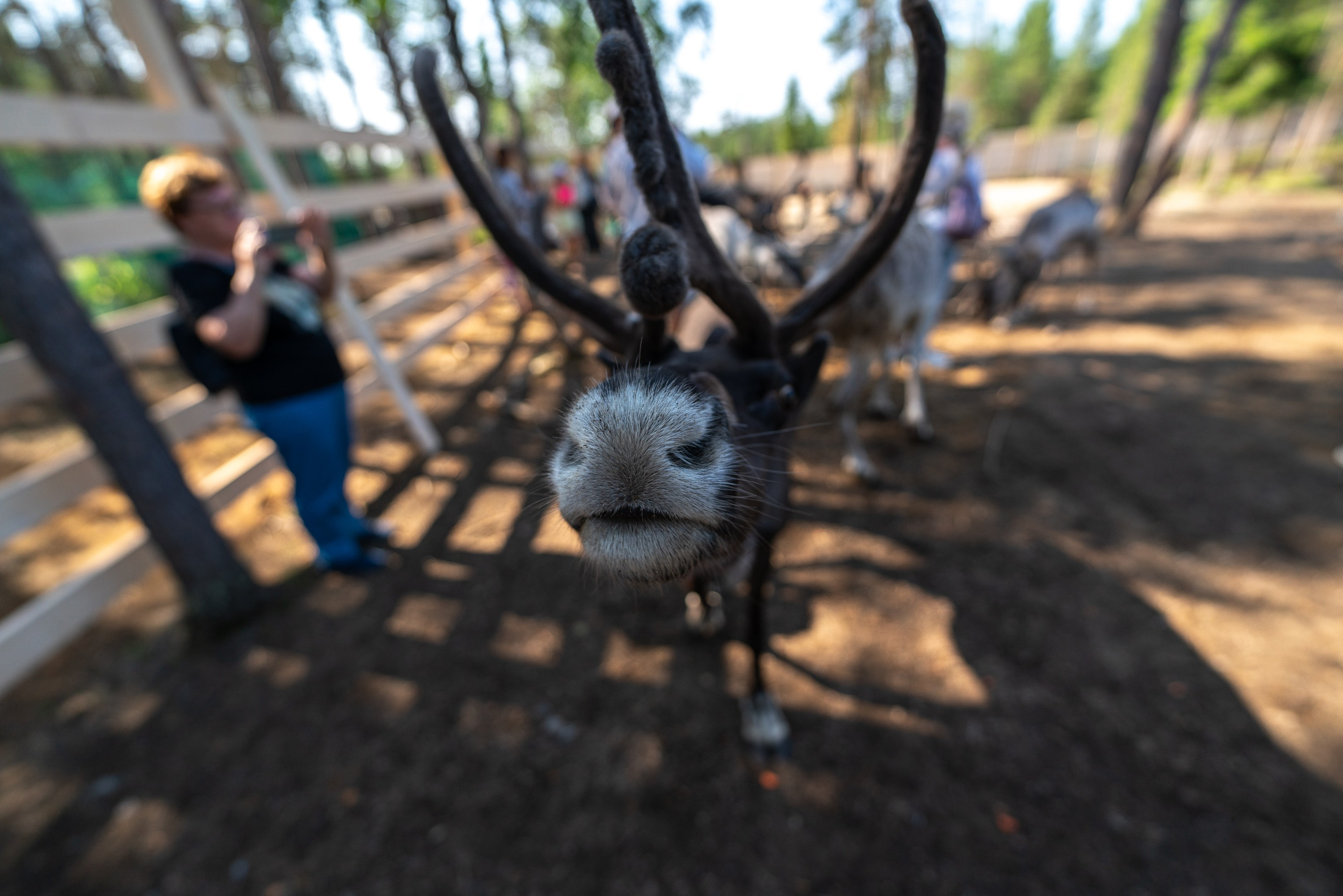 Кольский полуостров. ПОБУДЬ ЗДЕСЬ И ЦЕЛЕЕ БУДЕТ ЭТОТ МИР