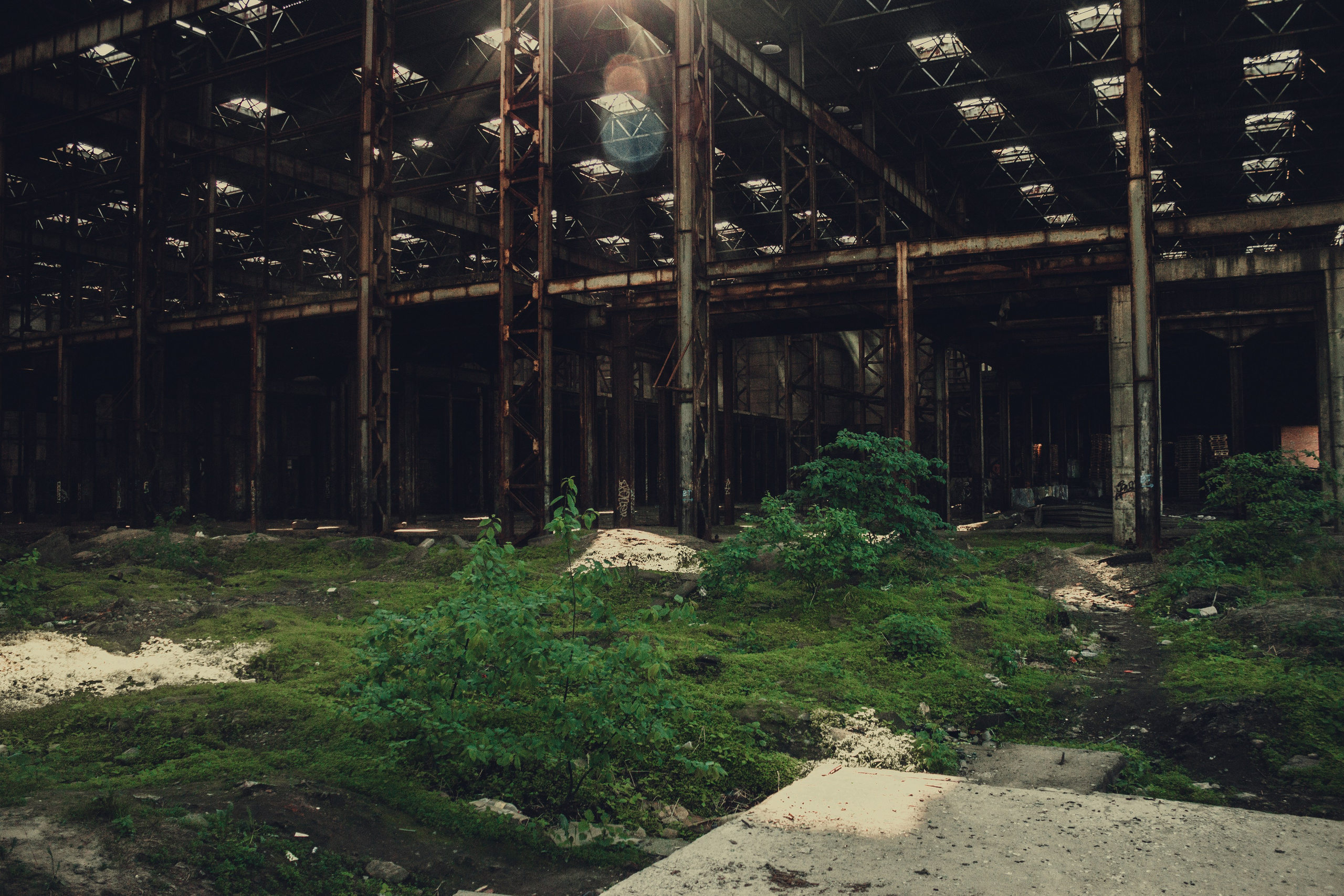 No one there. Sergei Berezkin