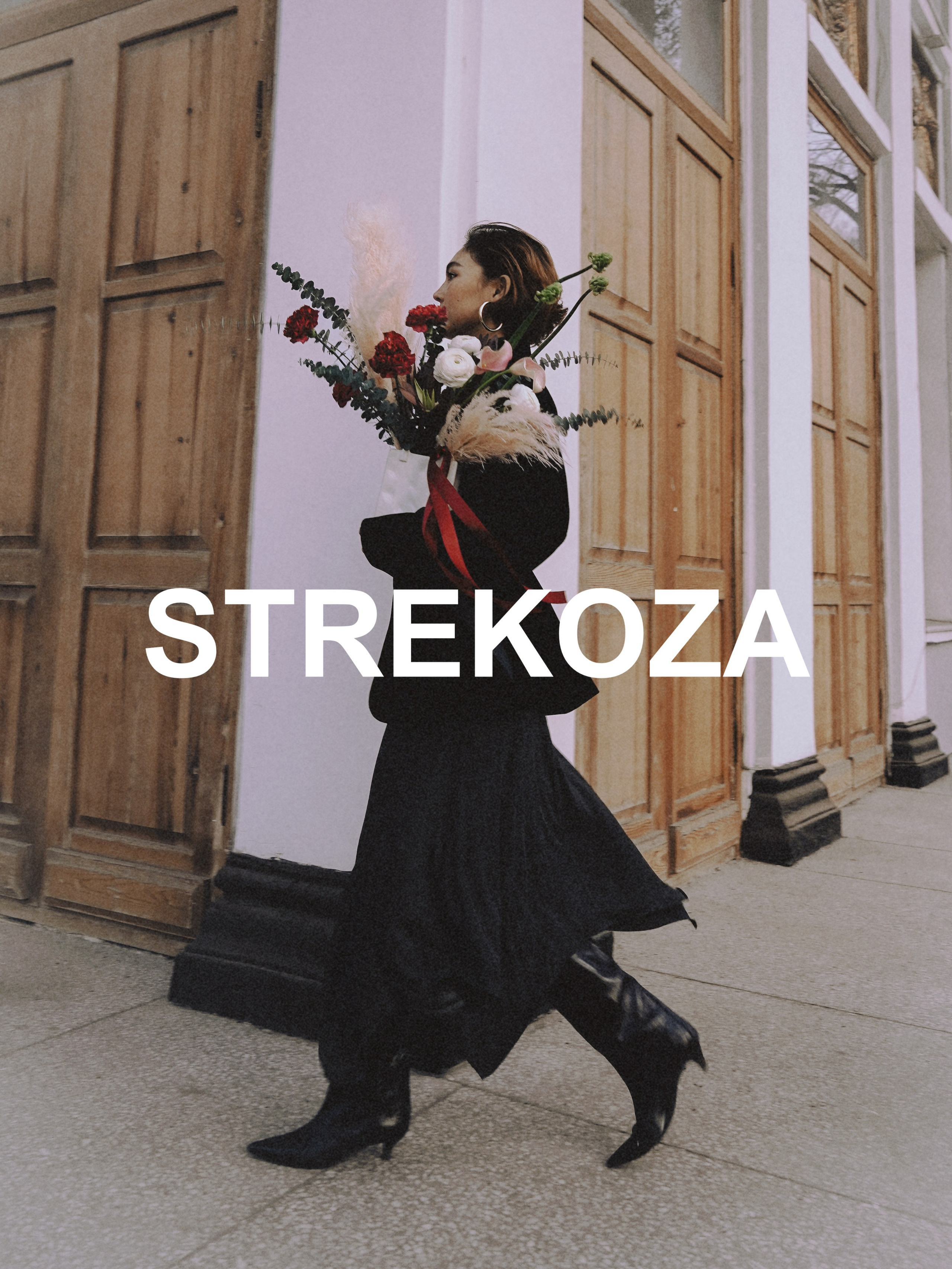 STREKOZA MAISON. Главная