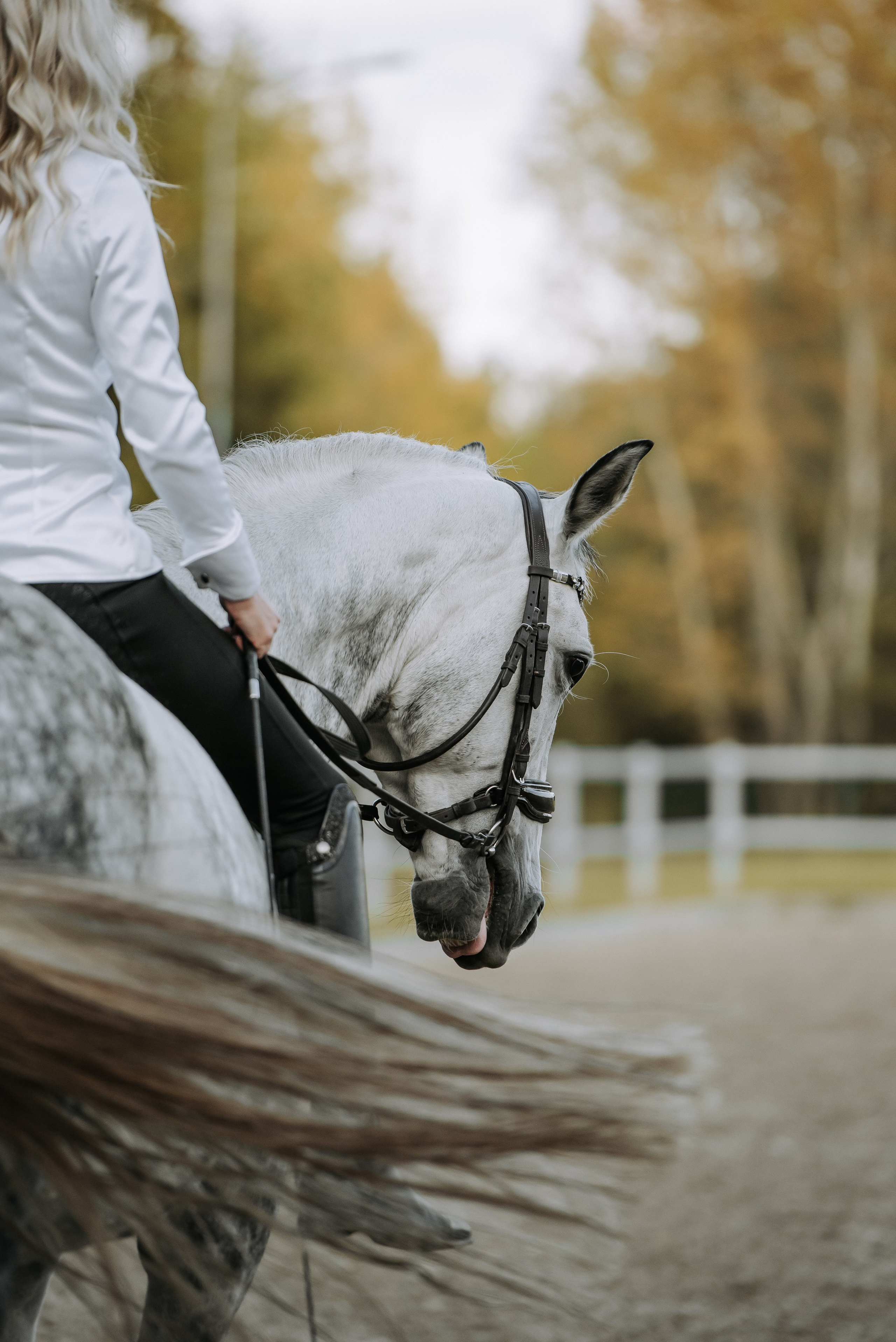 Фотосессия с лошадью Красноярск. Фотограф Диана Оленина Красноярск / Братск