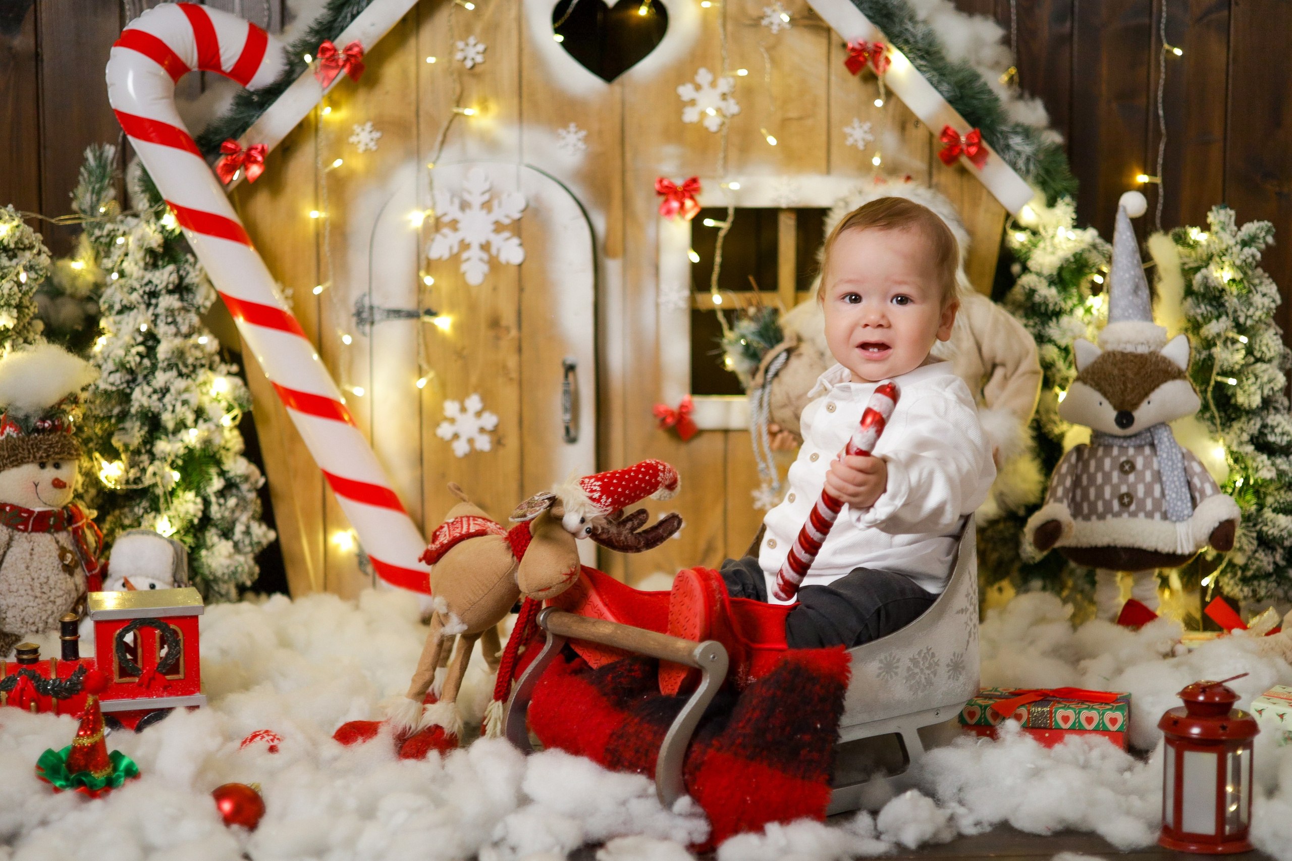 Дружная семья. Ваш семейный фотограф