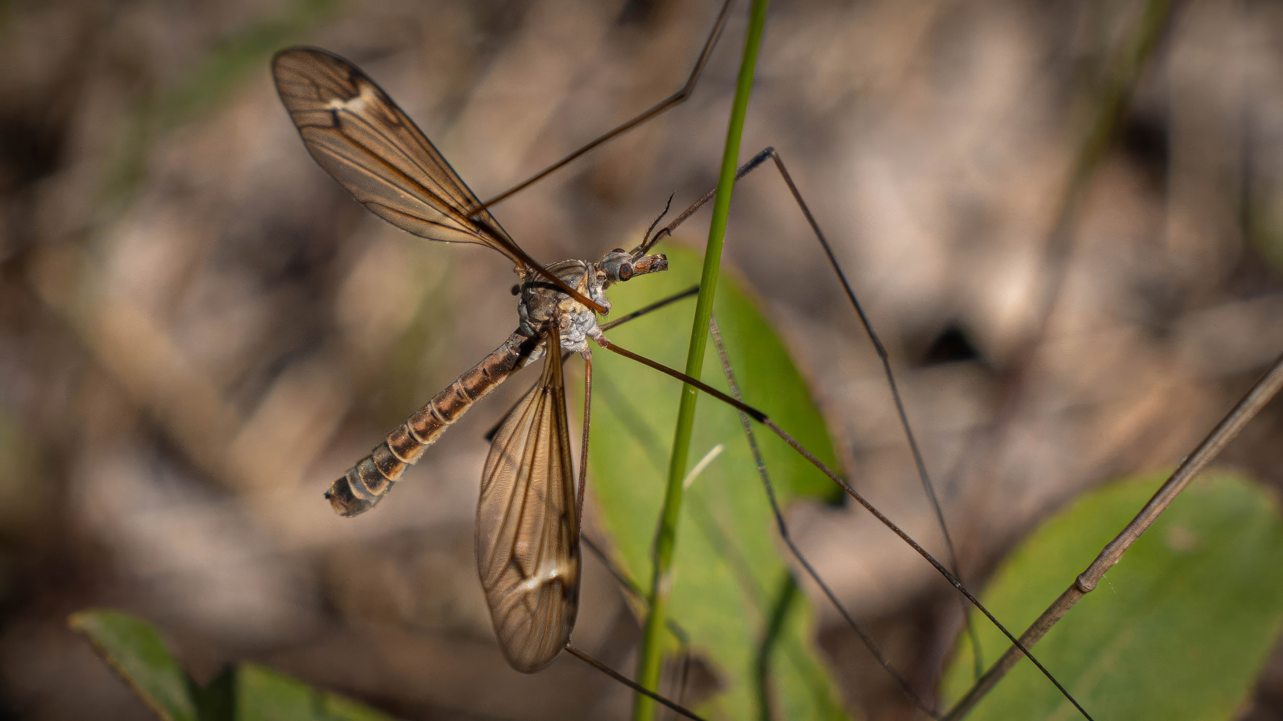 Портфолио. Фотограф и видеограф, видеомонтаж в Амурской области Игорь Иванов