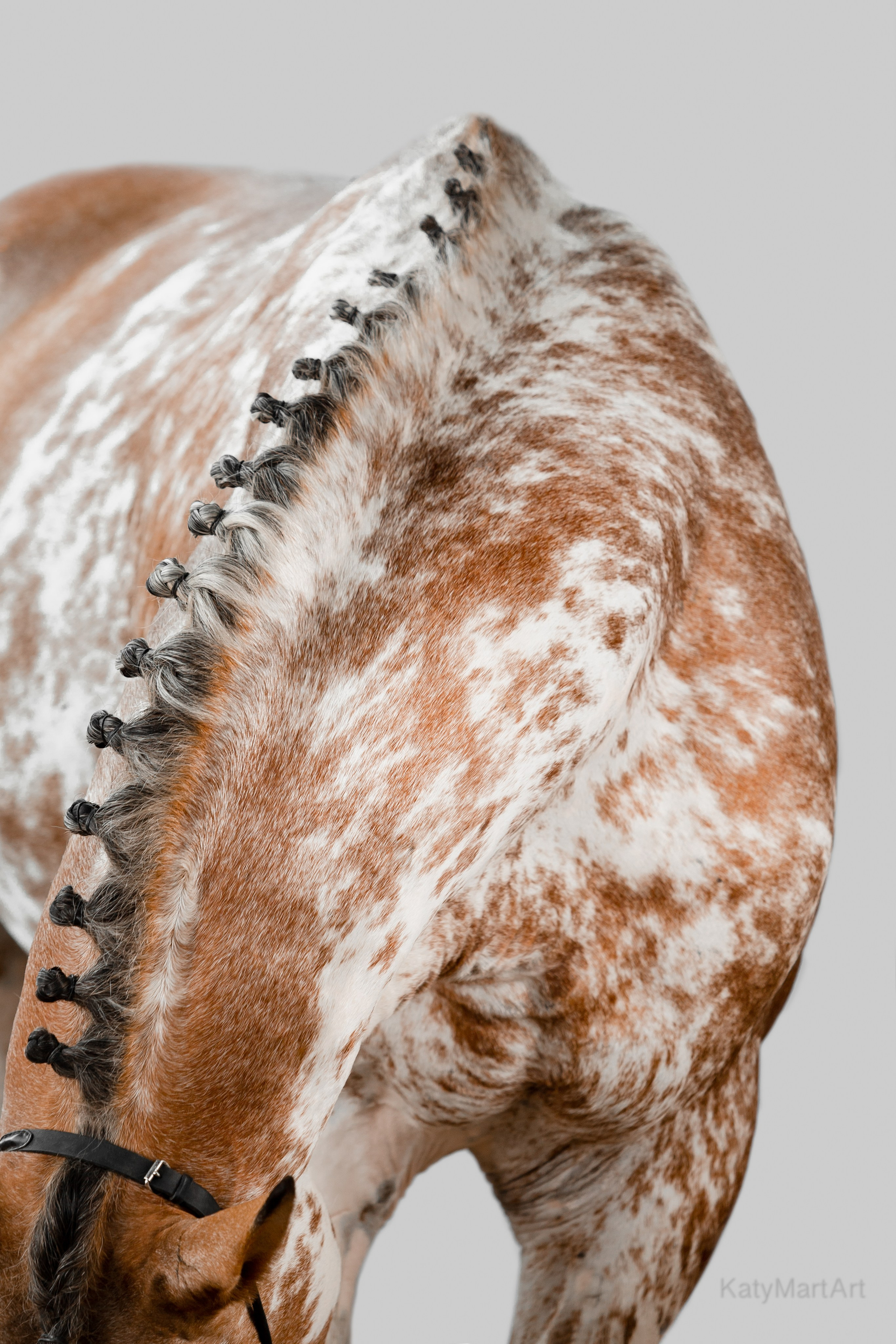 Пятна. KatymartArt — Equine photography
