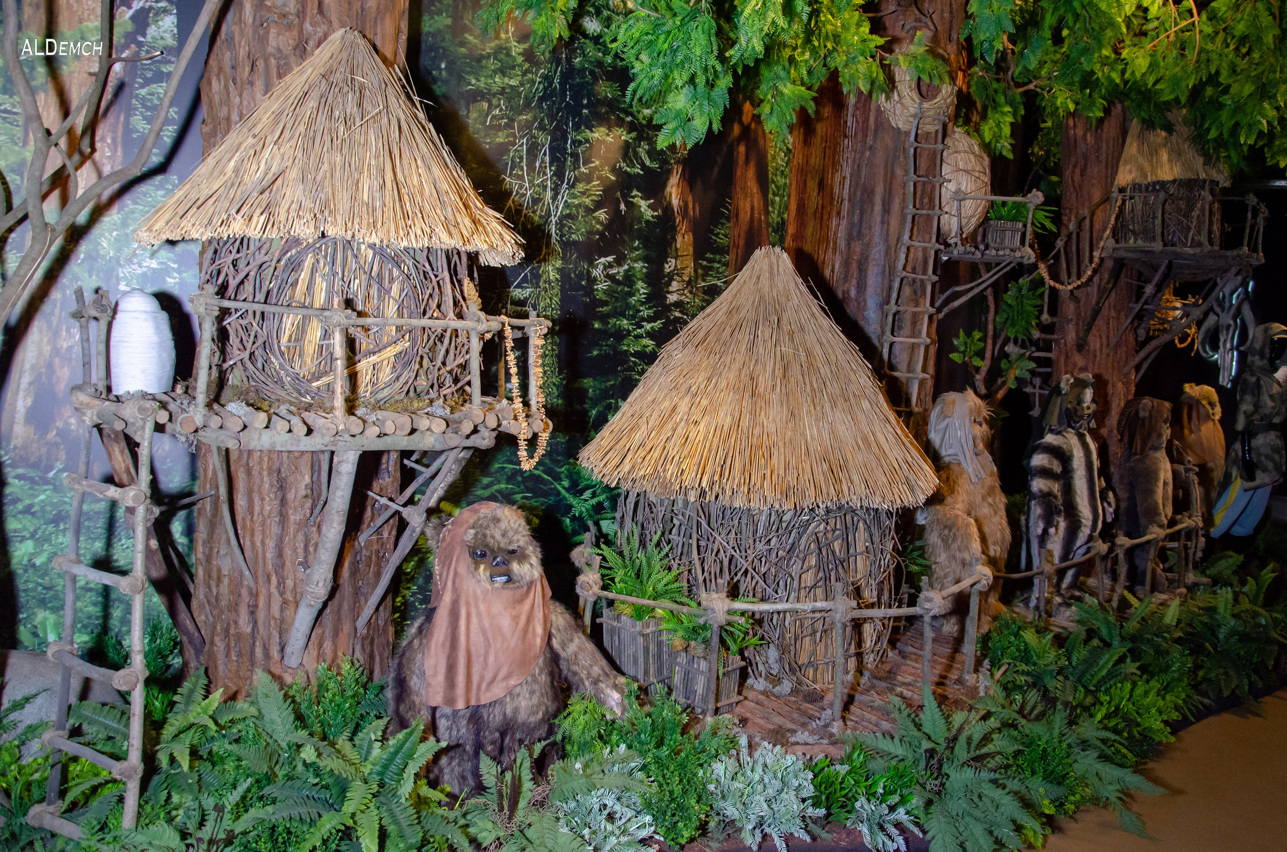 Фотосессия на ВДНХ косплей выставки по звёздным войнам