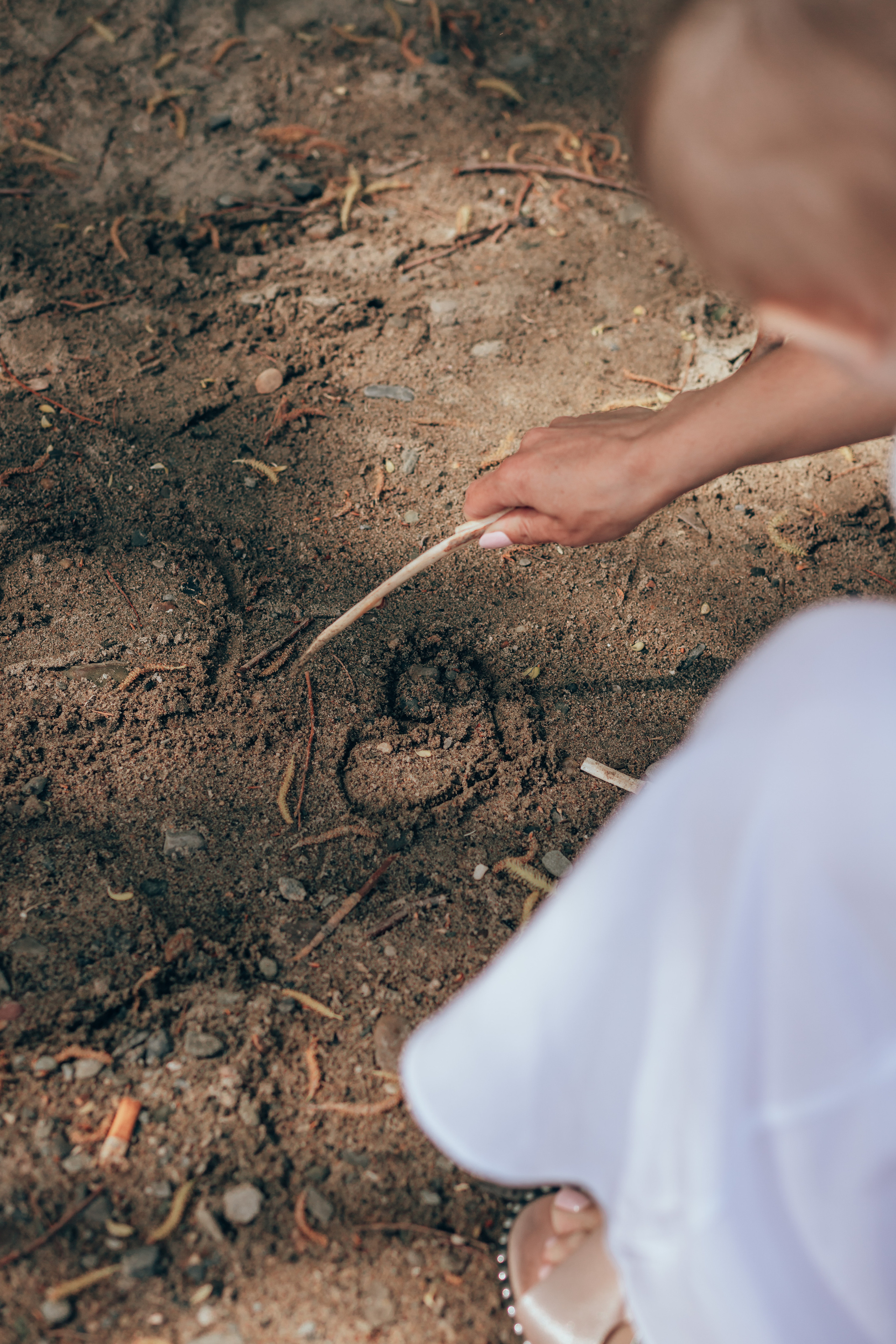 Елена. Семейный и детский фотограф в г. Новосибирске Макеева Анастасия