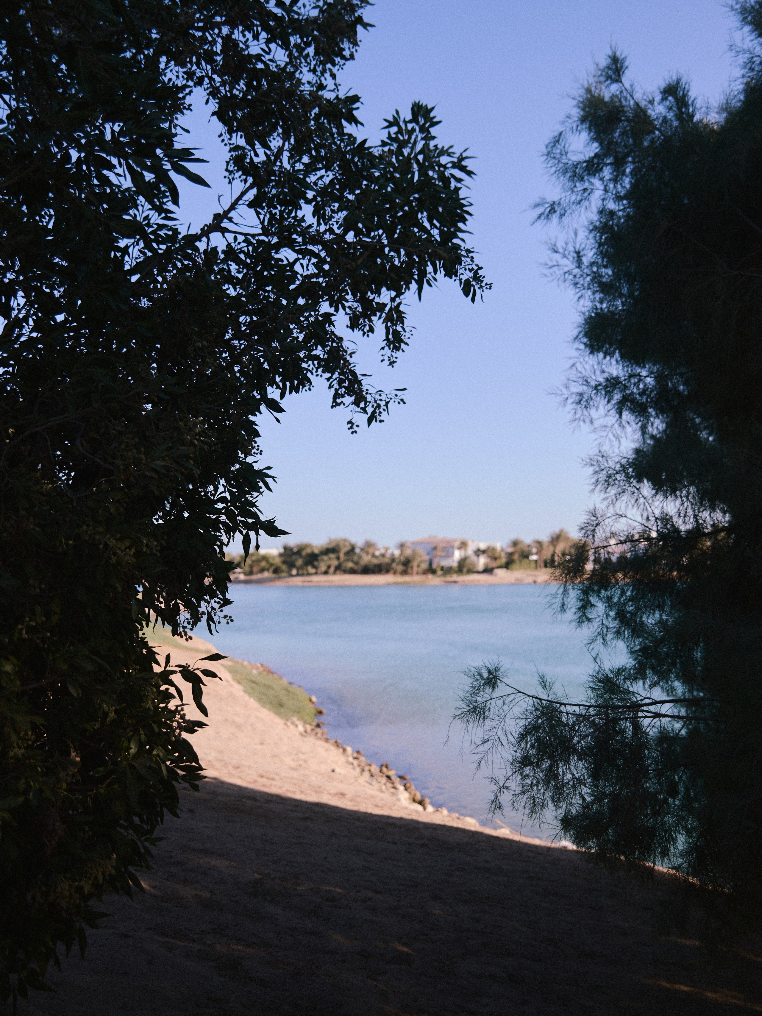 Другое 2. Jorgis Talè — photographer, kind person, teacher of arts and other mag