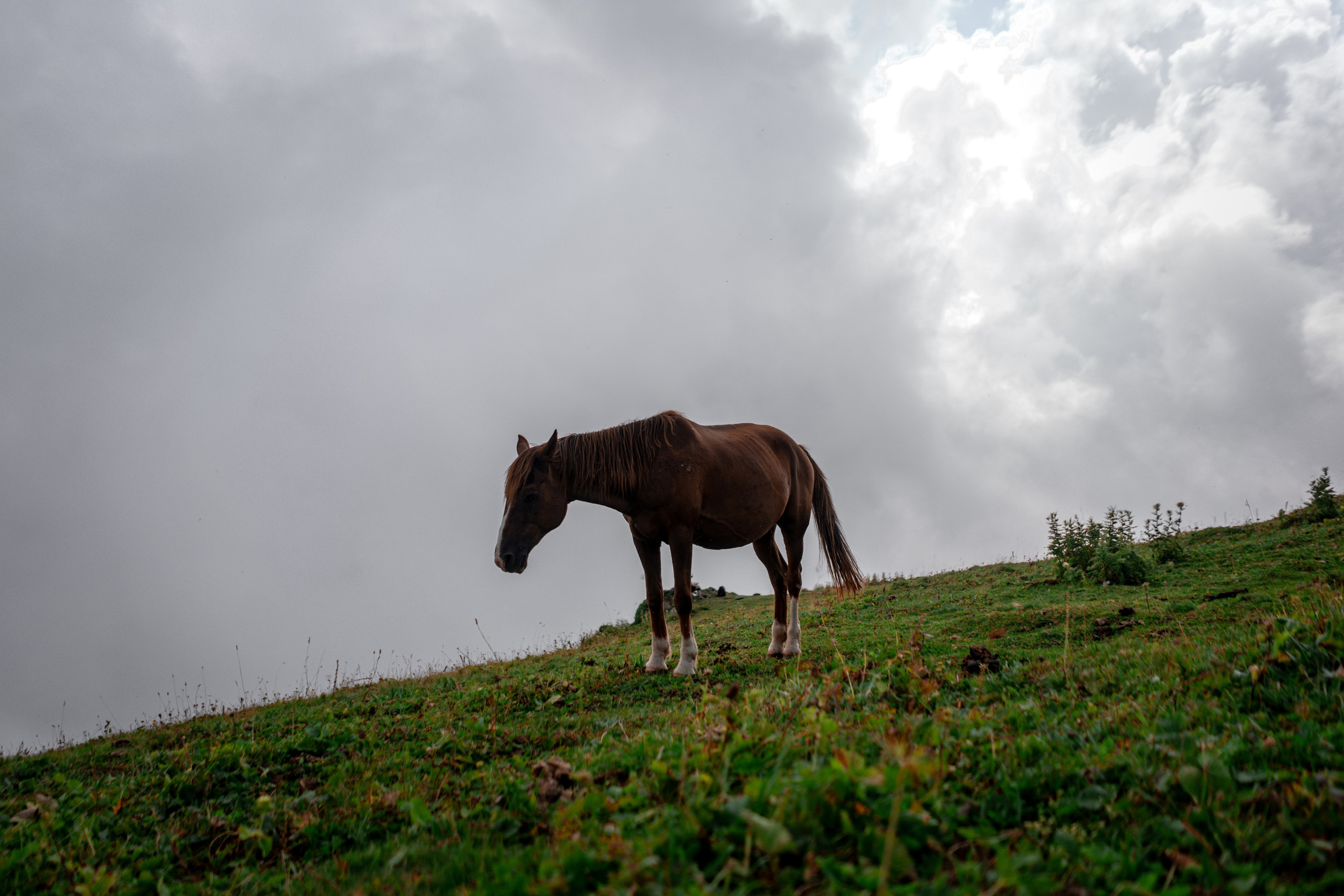 Сочи. Фотограф Александра Волкова | Волгоград