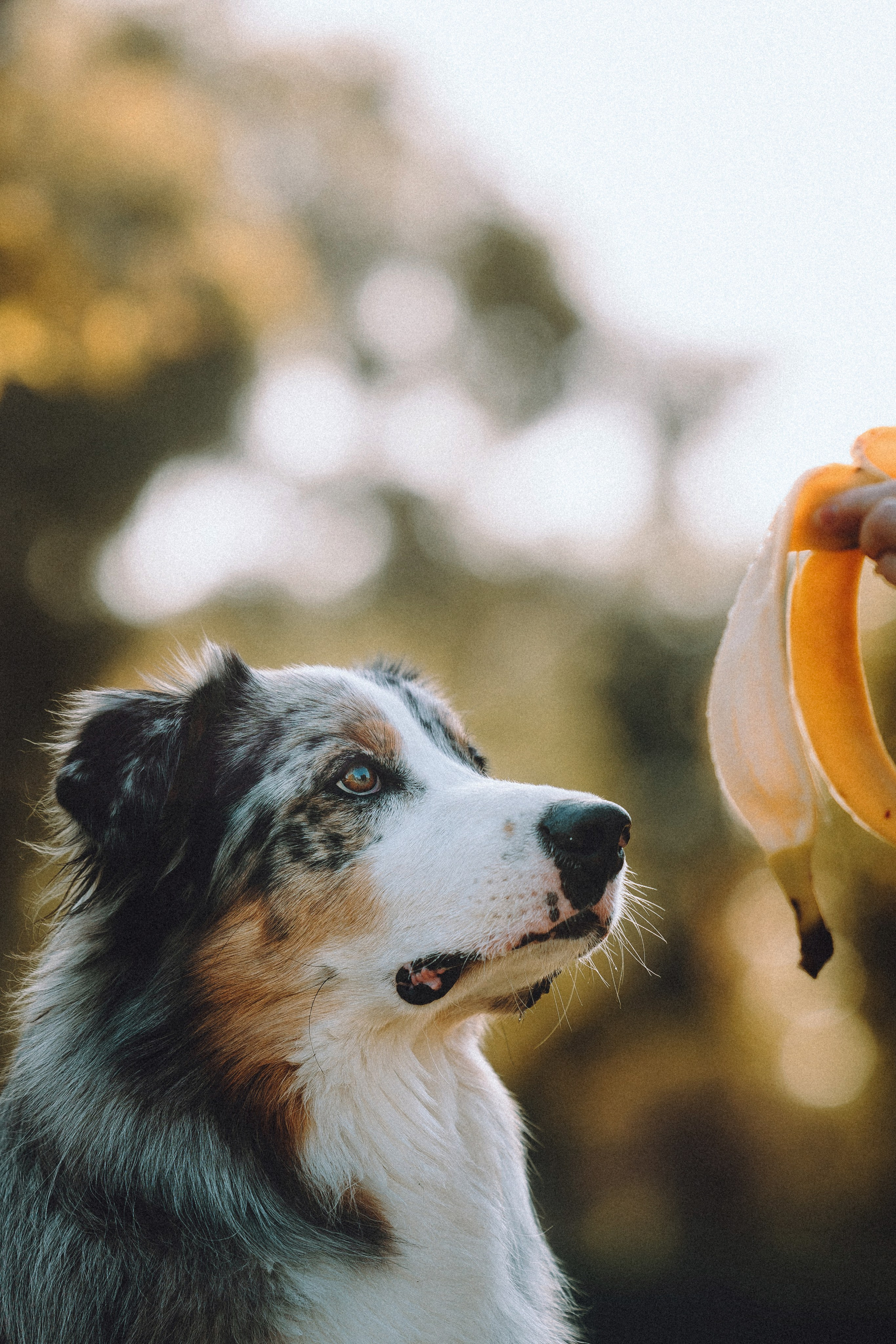 Саша, Рома и Один