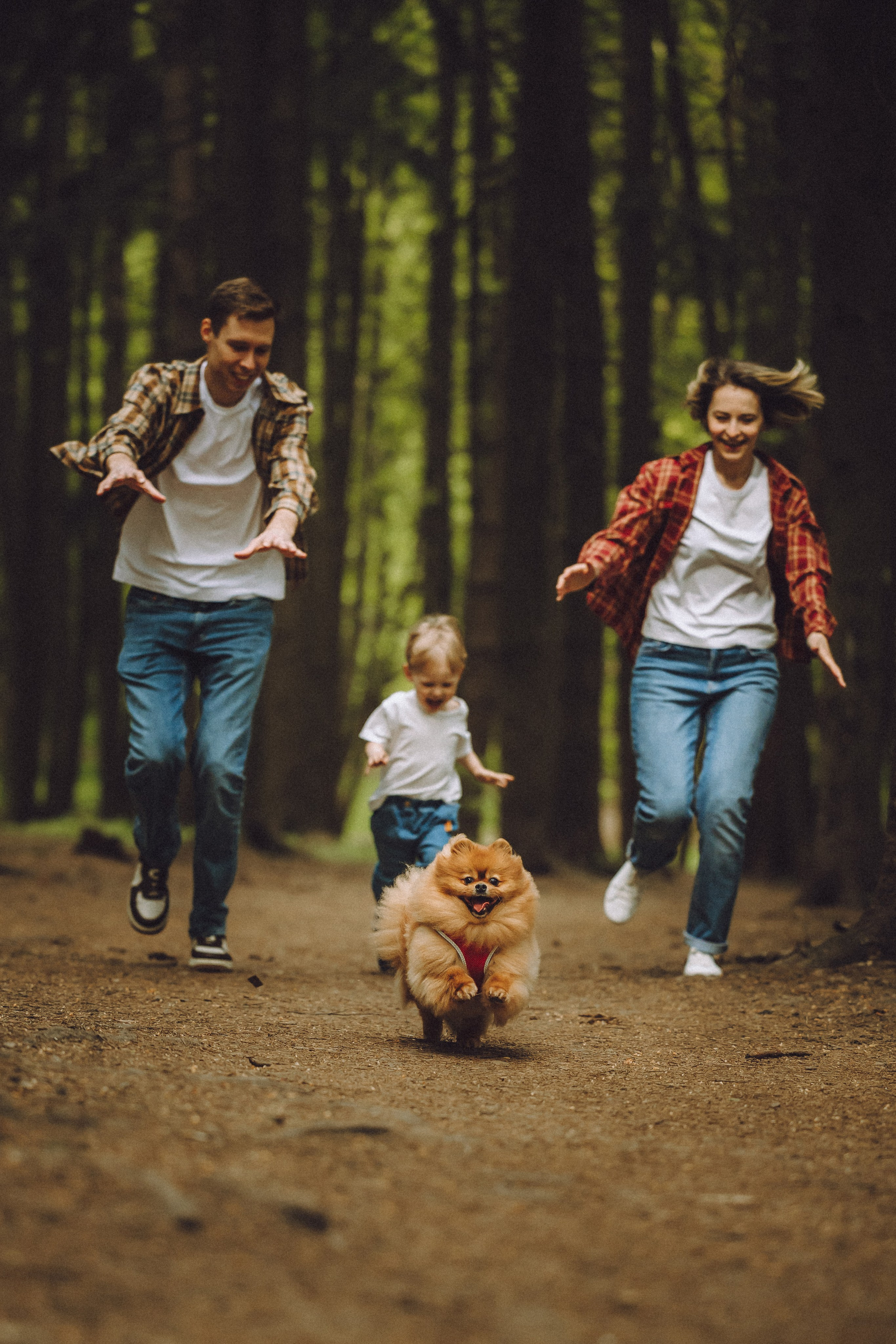 Лорик и его семья