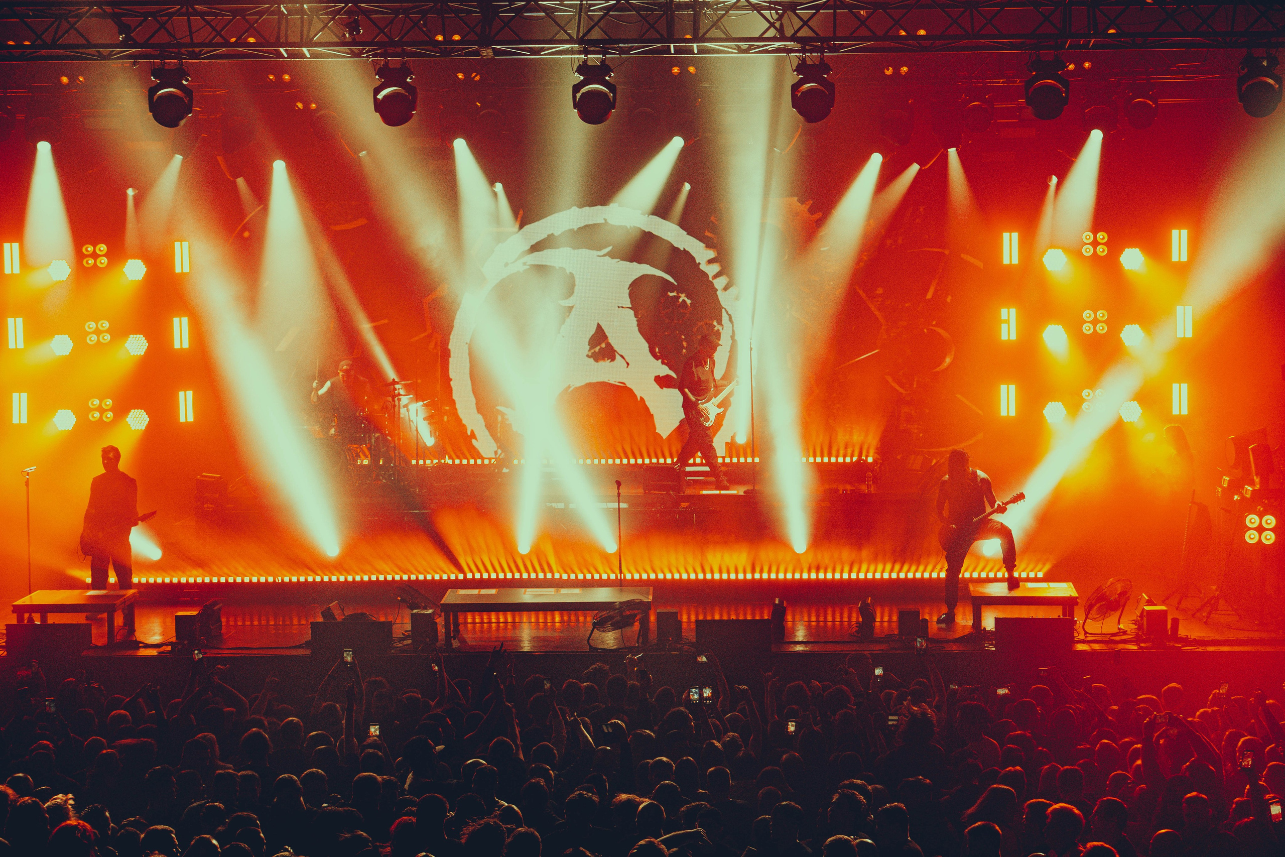 Amatory 22.11.2025. Фотограф Дядя Сник