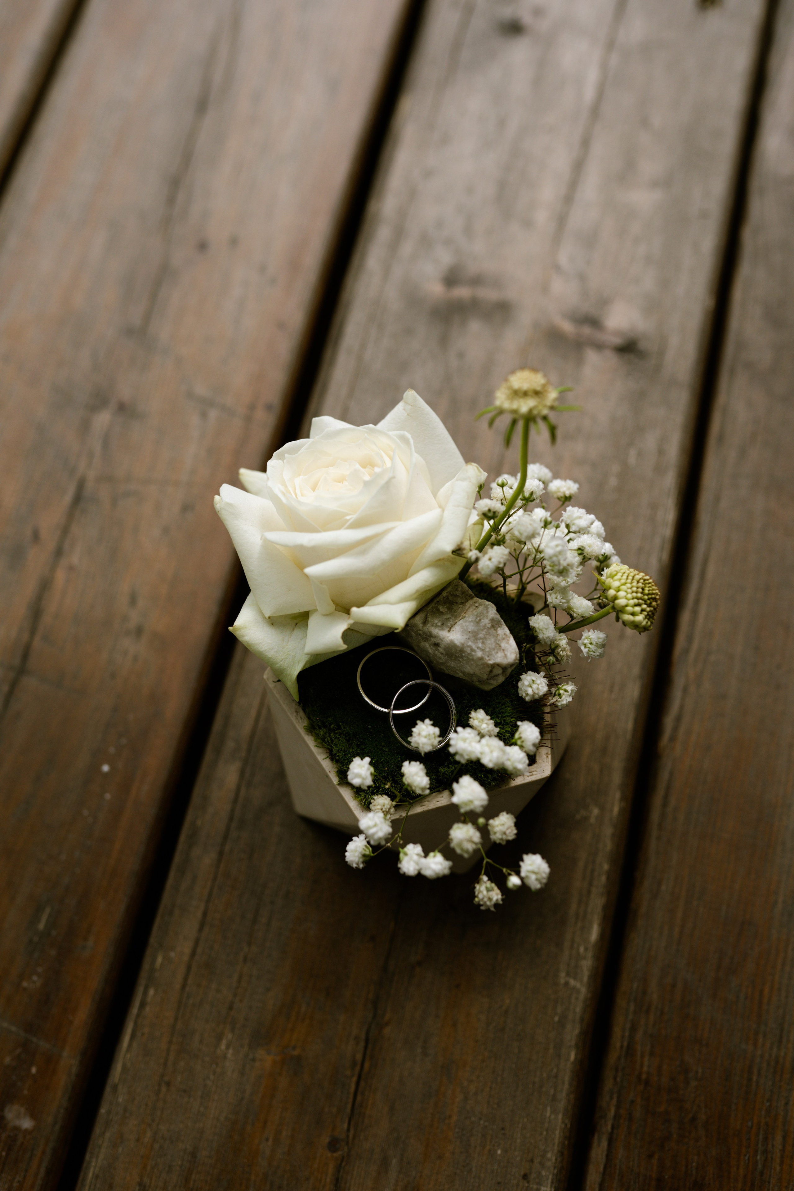 Свадебное портфолио. Фотограф Новокузнецк