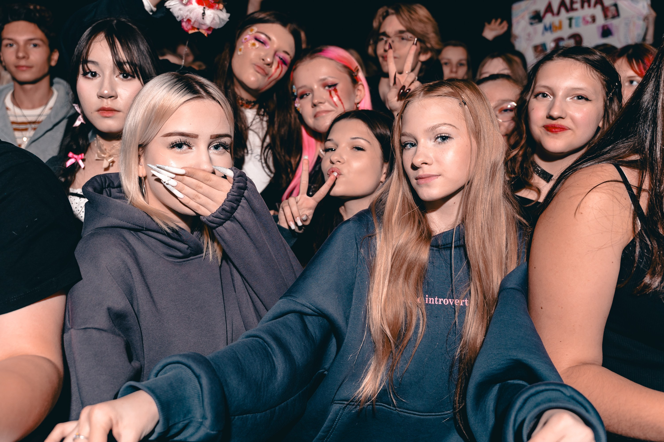 Алена Швец. Магия музыки в кадре: Концертная Фотография