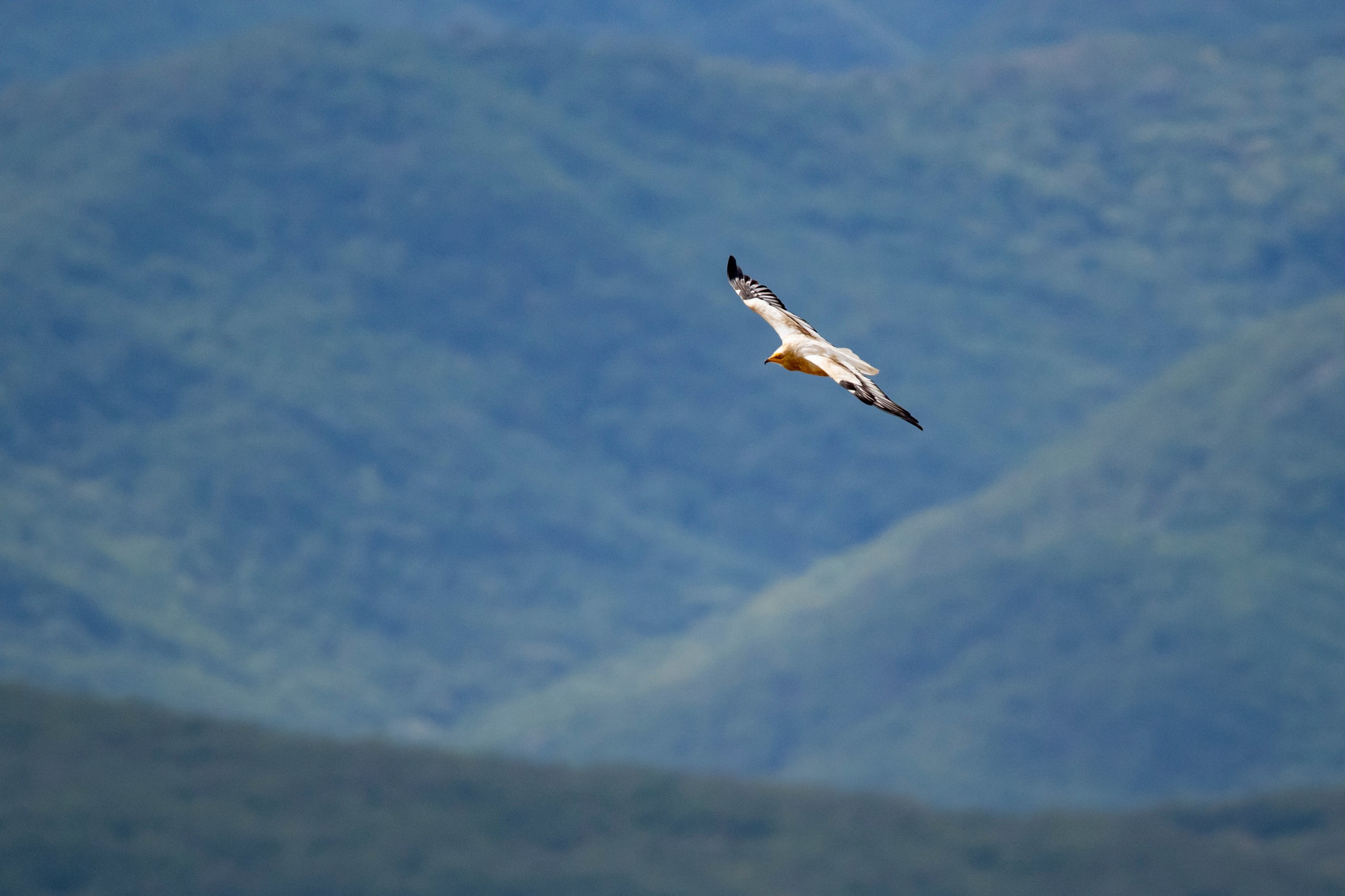 Природа Дагестана, сентябрь 2024. Foto-Zuev фотография как искусство