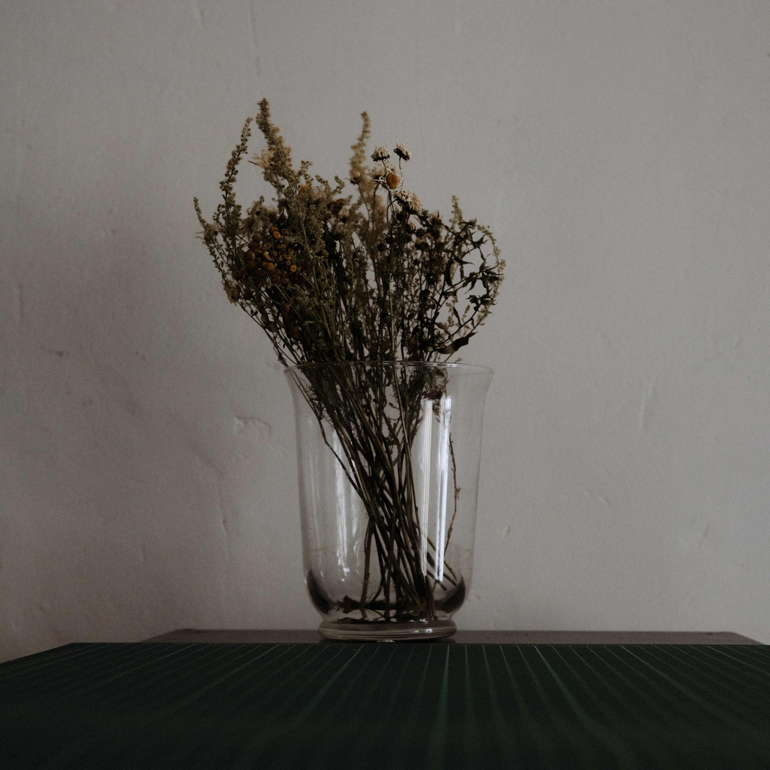 Саша. Фотограф, видеограф в Санкт-Петербурге