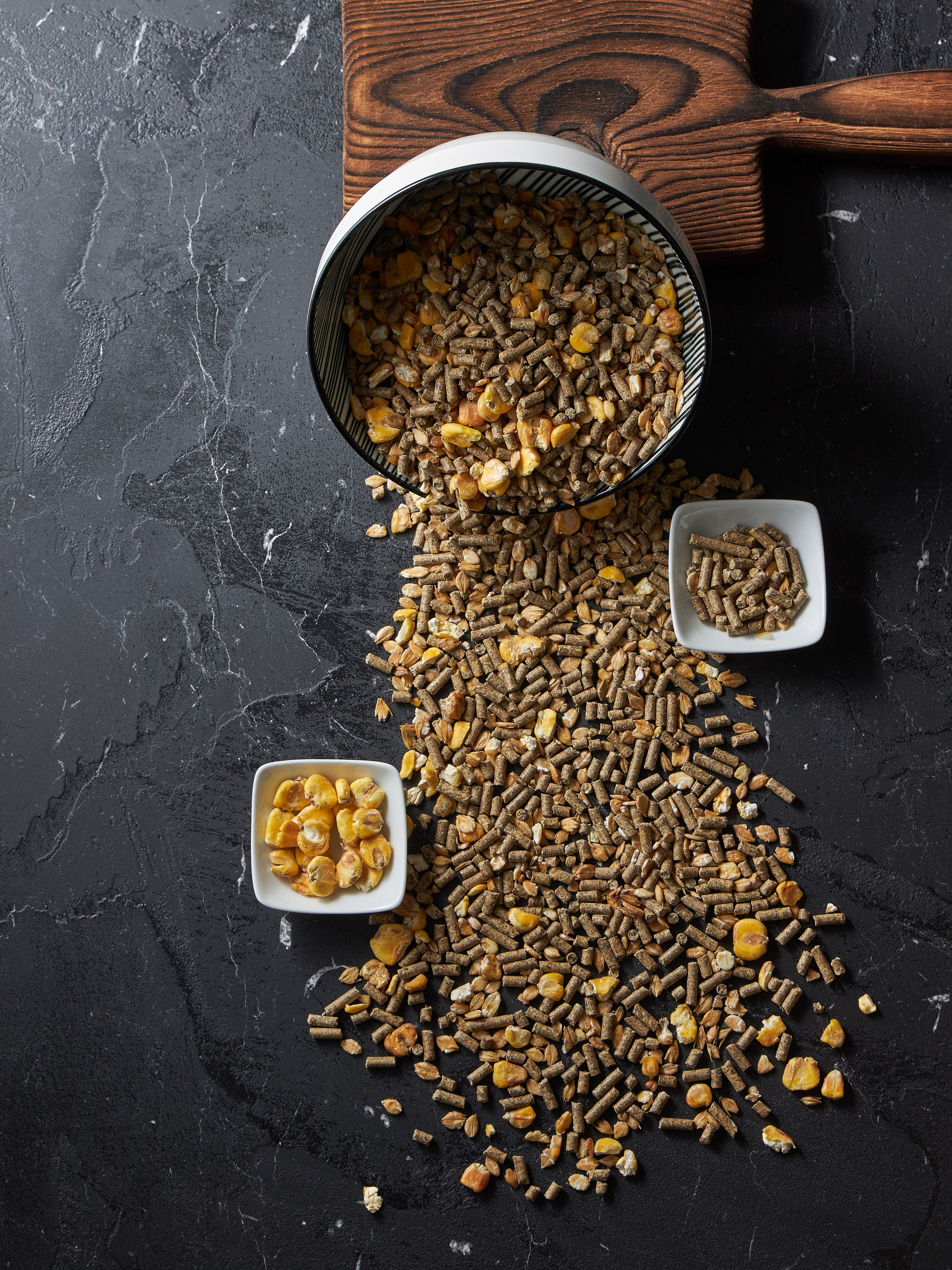 Фотосъемка корма для животных для маркетплейсов. Алексей Темнов — фотограф в Пятигорске