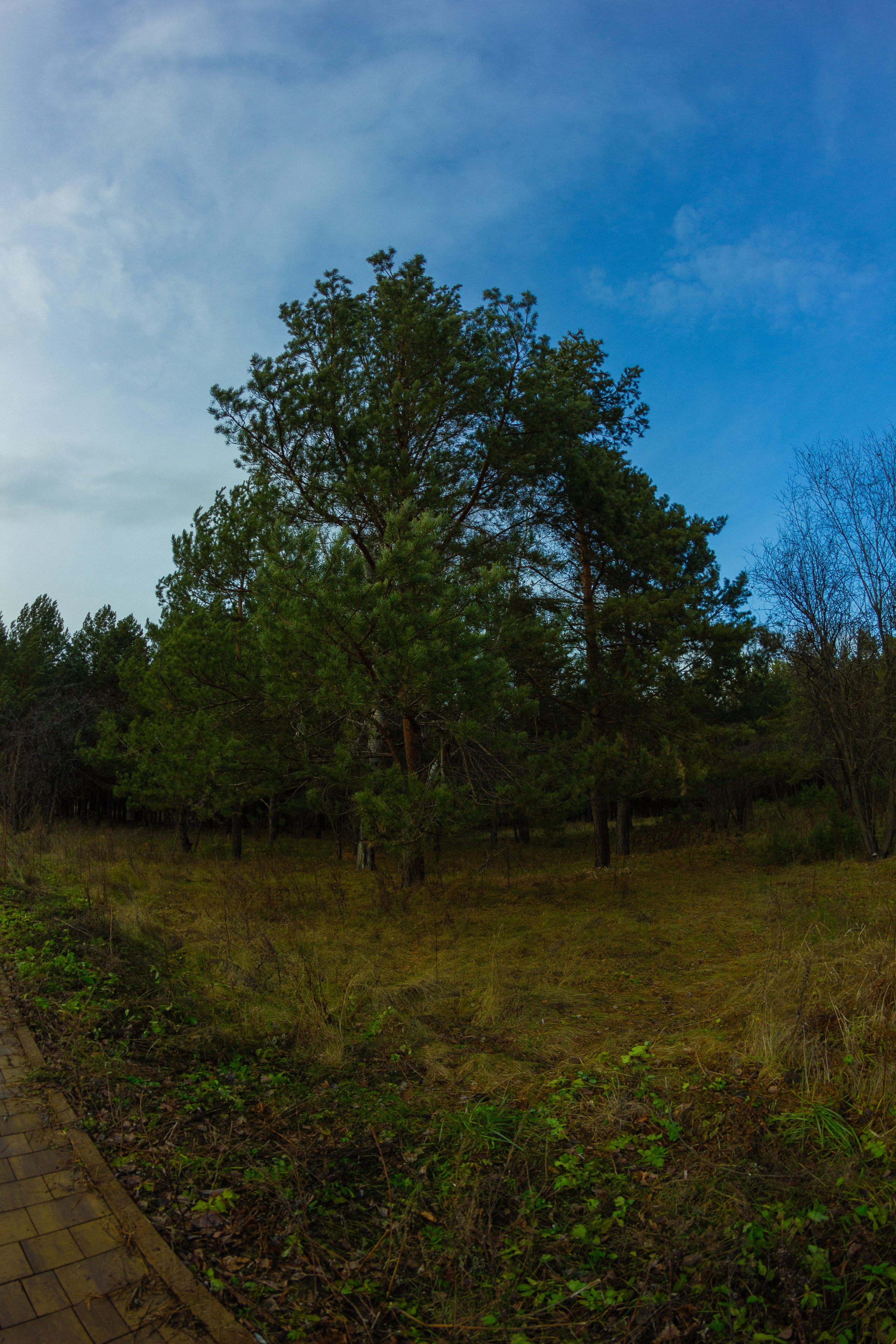 04.11.2024 | Сосновоборск. Kuznetsov | Фотограф в Красноярске