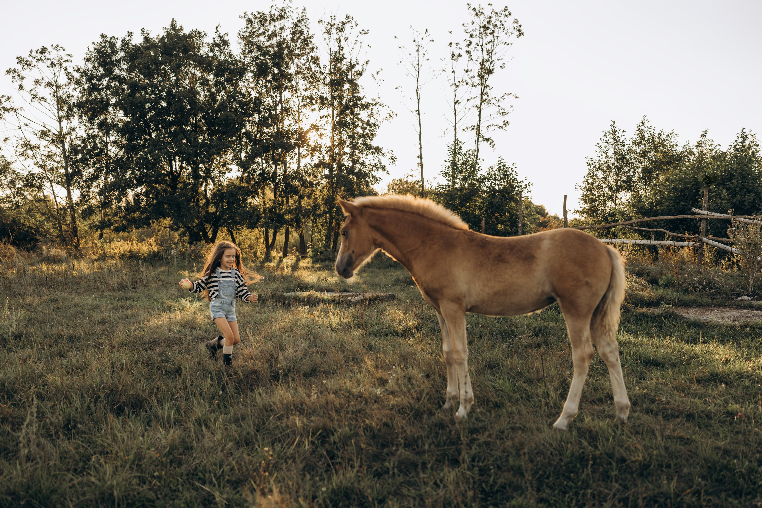 Детство, лошади, природа. Семейный фотограф Москва. Фотограф беременности и материнства Москва