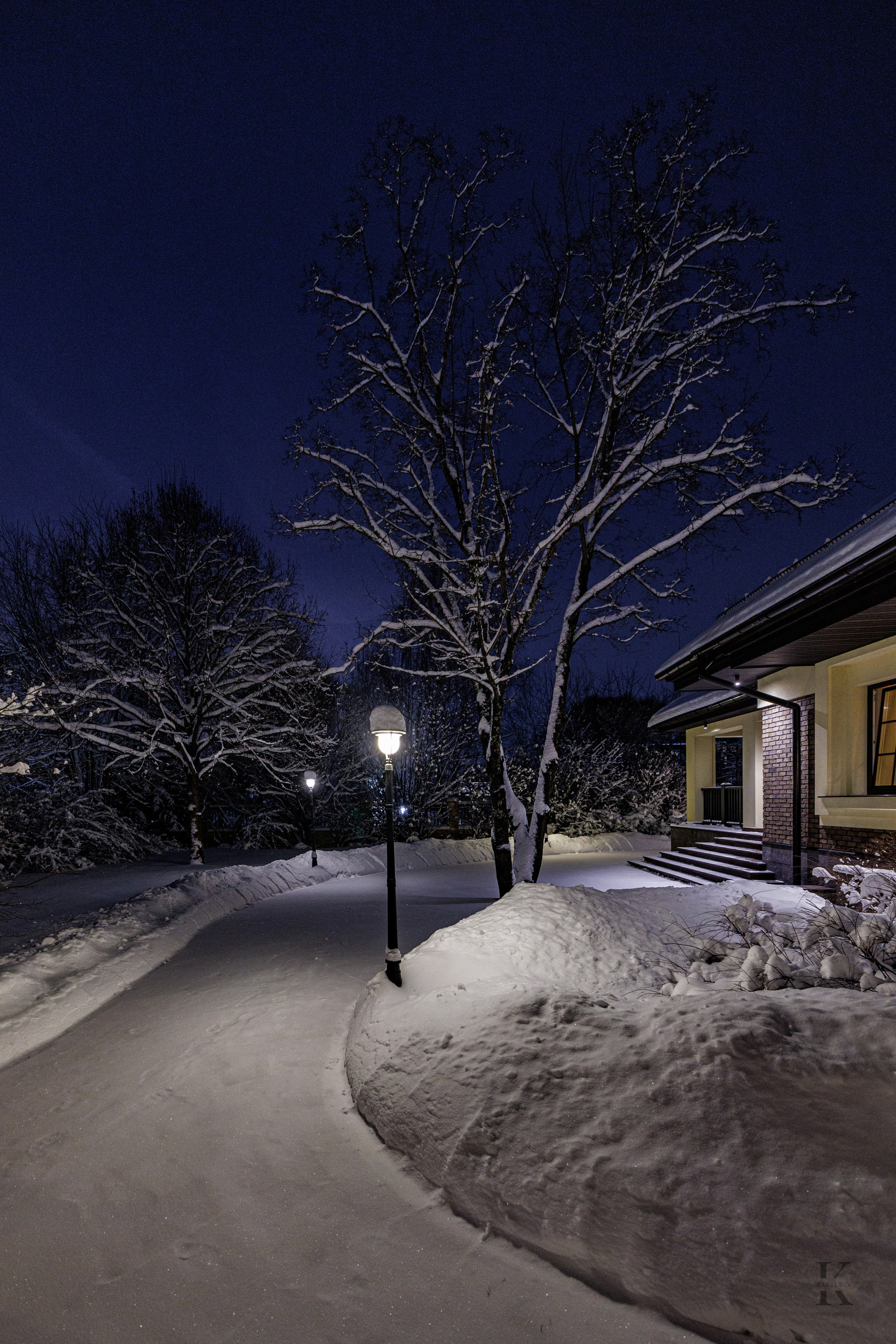 Природа 31 Декабря 2025 года. Клены. Фотографирую жизнь! Московский фотограф волонтер