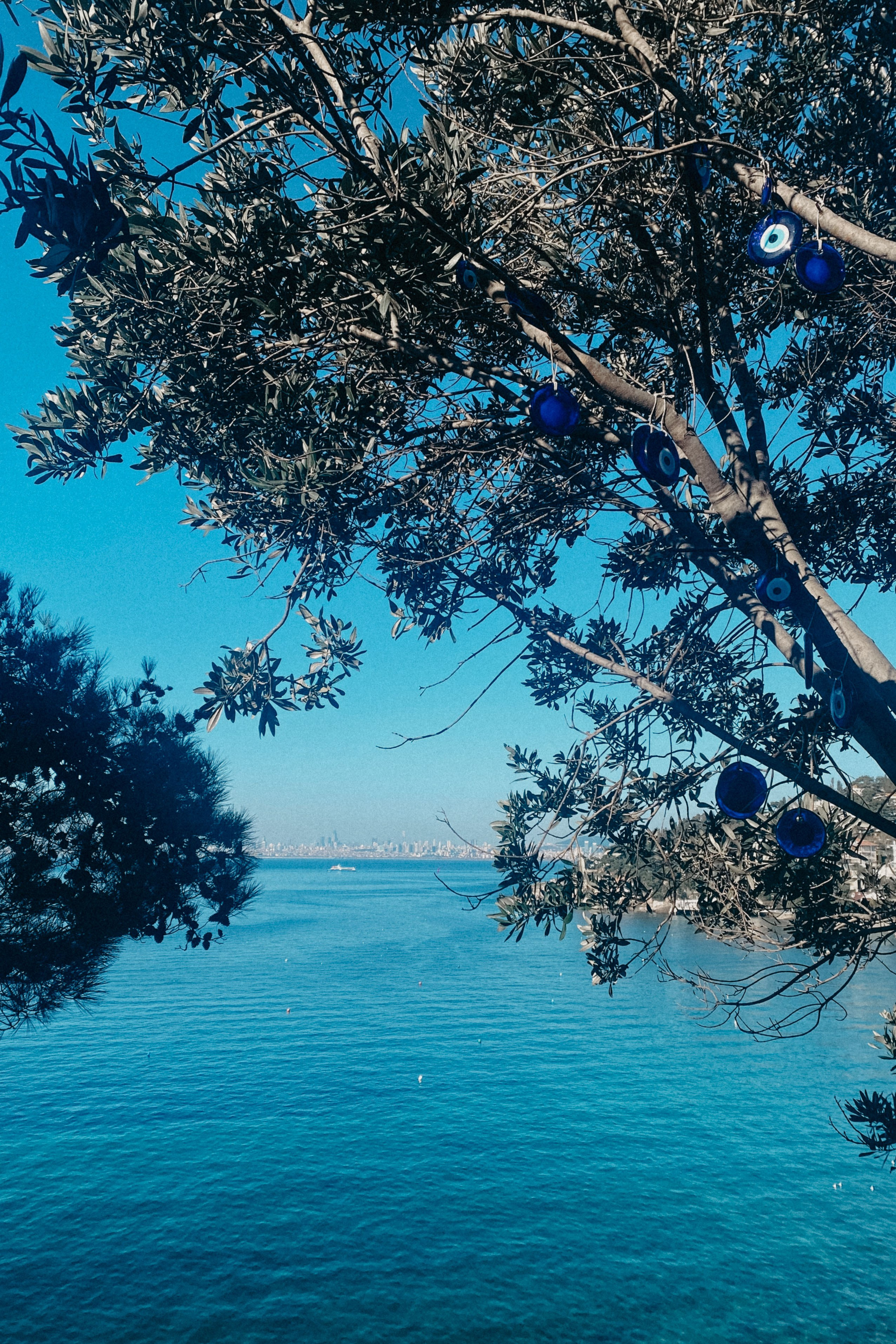 Стамбул. Фотограф Тбилиси Саша Мороз