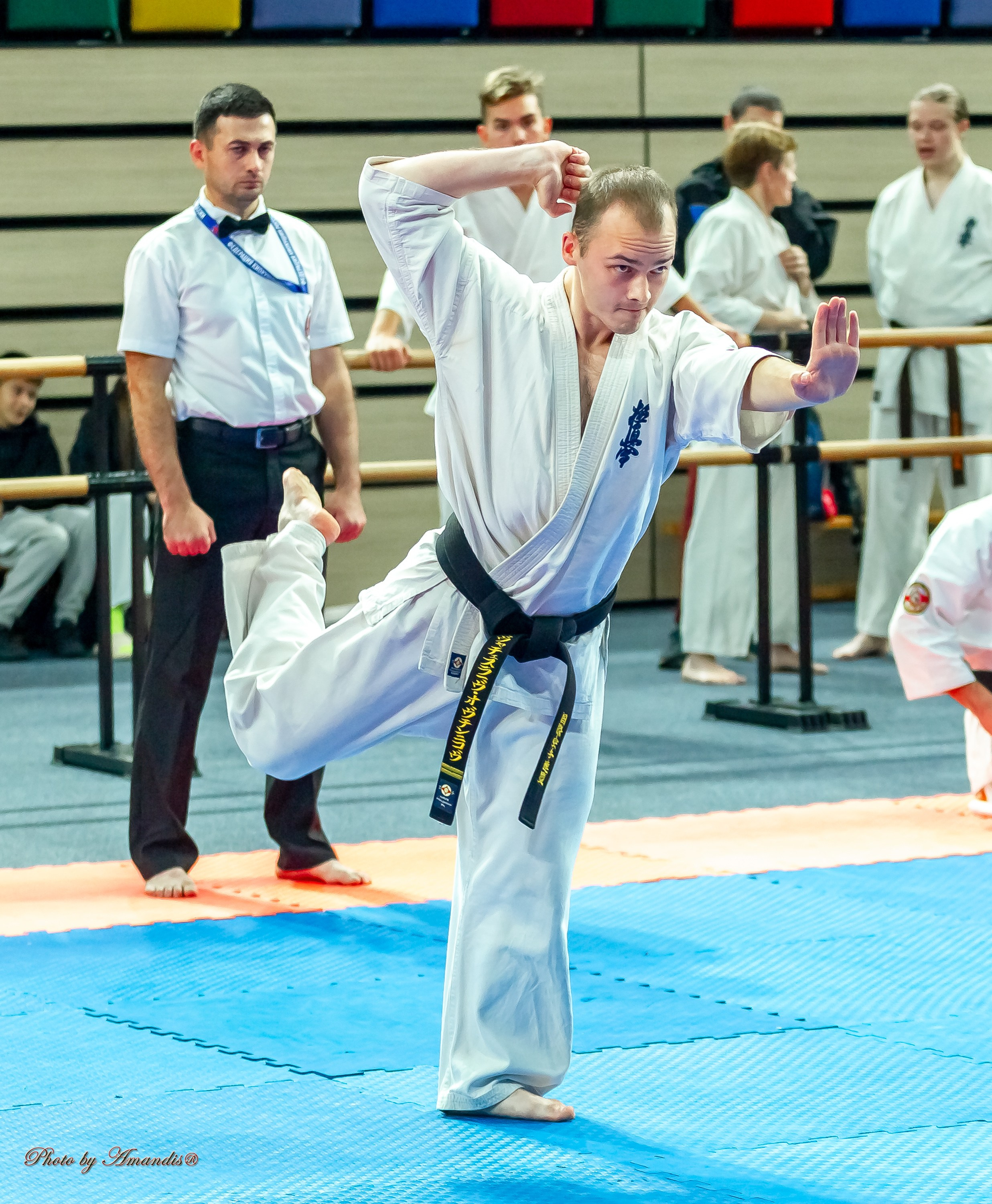 Первенство Московской области по Киокушин в СК «Жаворонки». Репортажная съемка в Москве и области. Анималистика