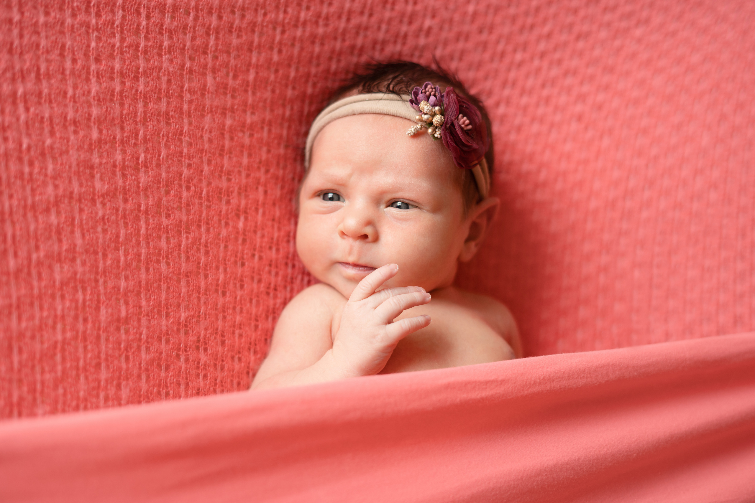 НОВОРОЖДЕННЫЕ. Фотограф новорожденных Ликина Анна в Москве, Раменском, Бронницах, Вос