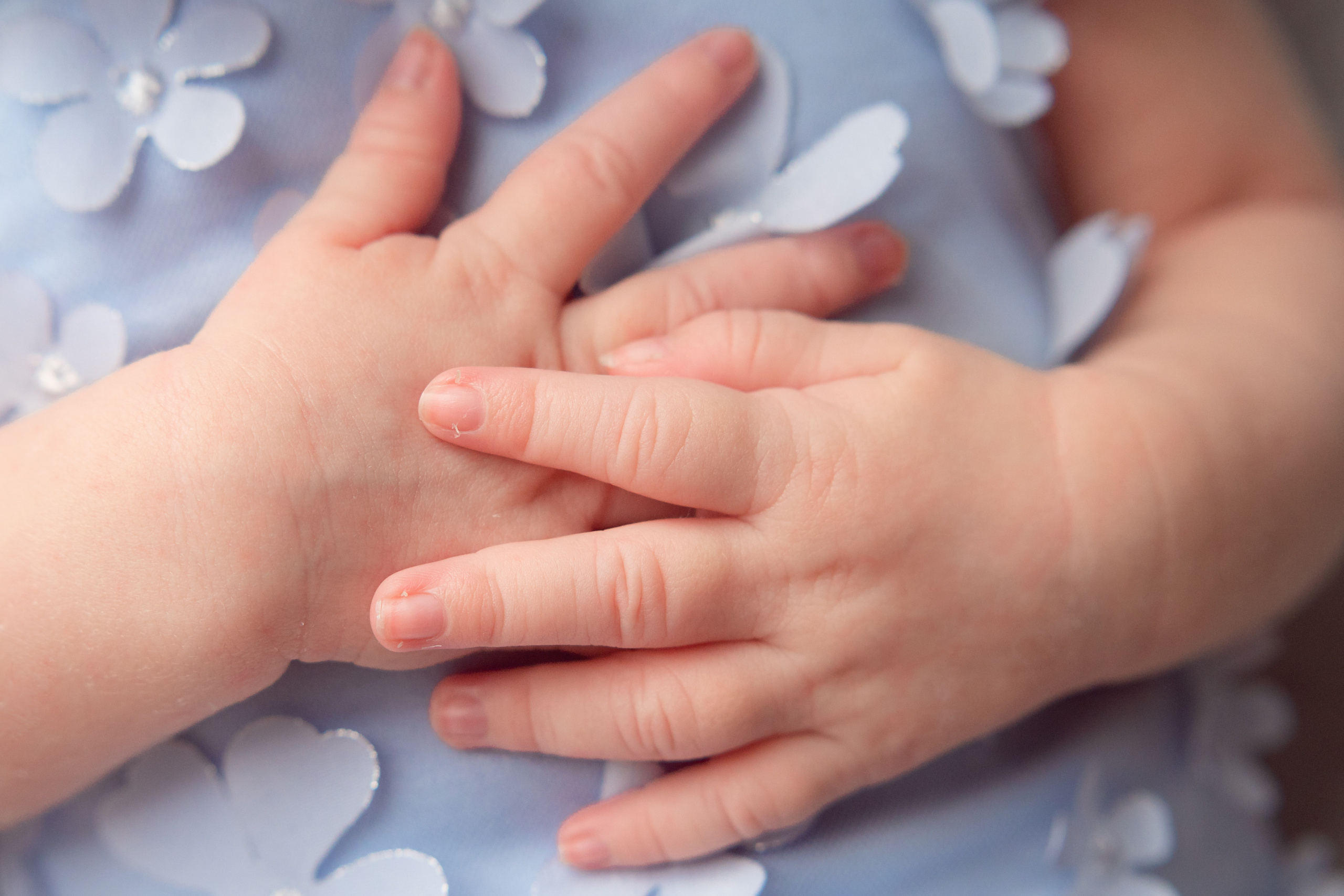 НОВОРОЖДЕННЫЕ. Фотограф новорожденных Ликина Анна в Москве, Раменском, Бронницах, Вос