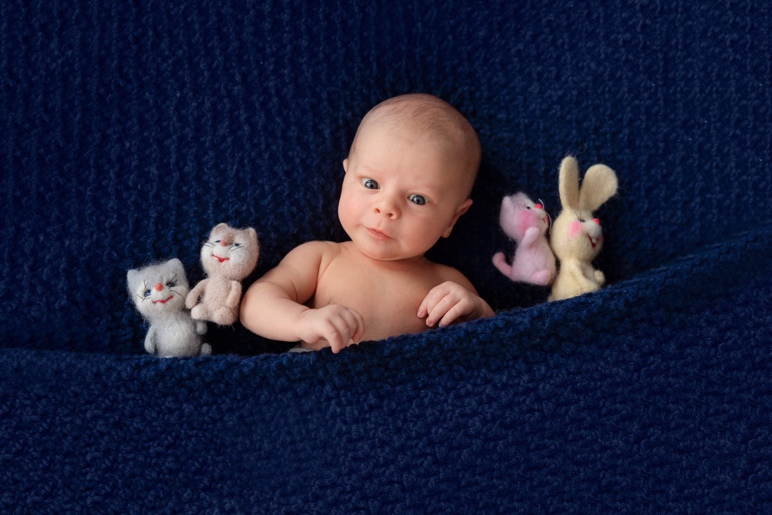 НОВОРОЖДЕННЫЕ. Фотограф новорожденных Ликина Анна в Москве, Раменском, Бронницах, Вос