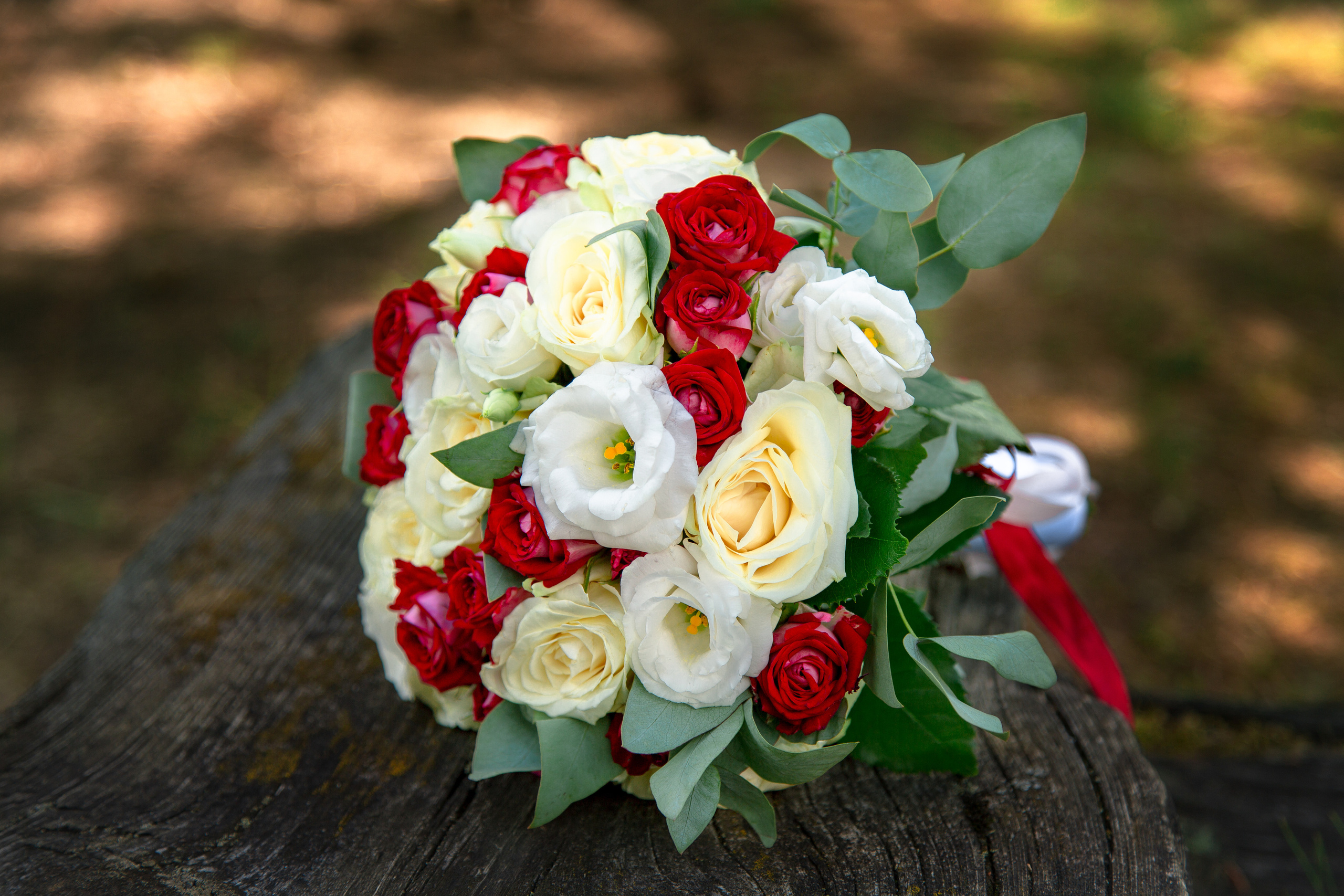 Вячеслав и Светлана. Семейный и Детский фотограф г. Москва, г. Борисоглебск