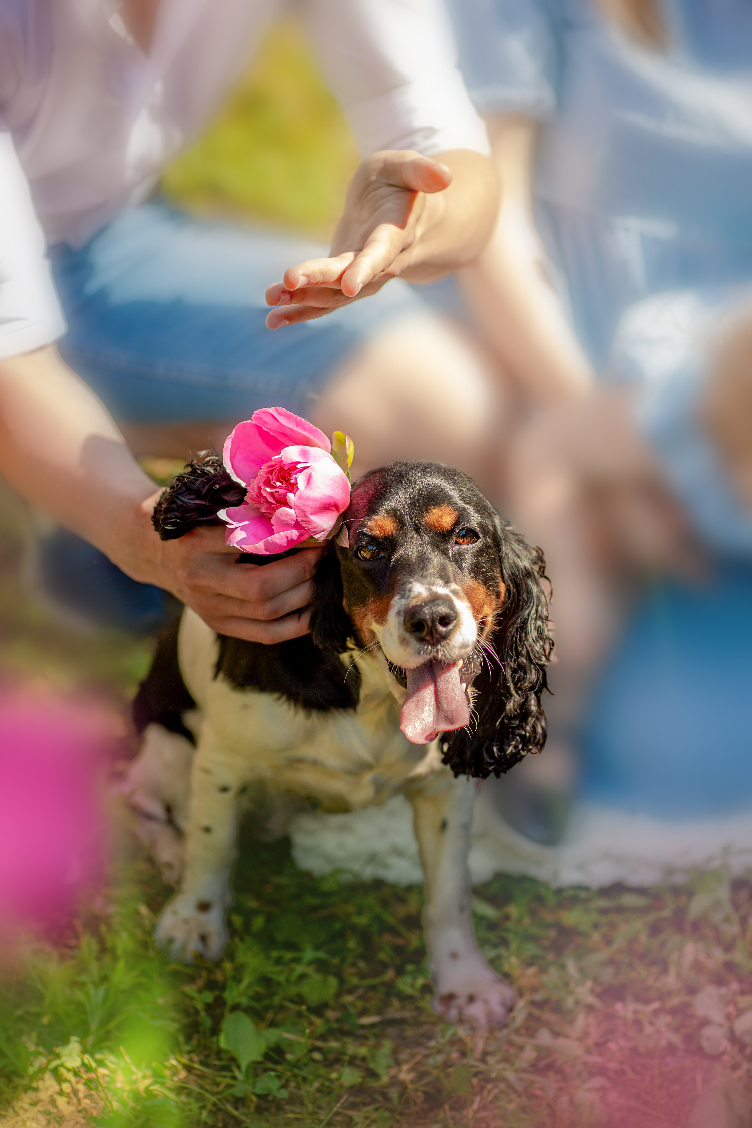 Семья Филлиповых. Семейный и Детский фотограф г. Москва, г. Борисоглебск