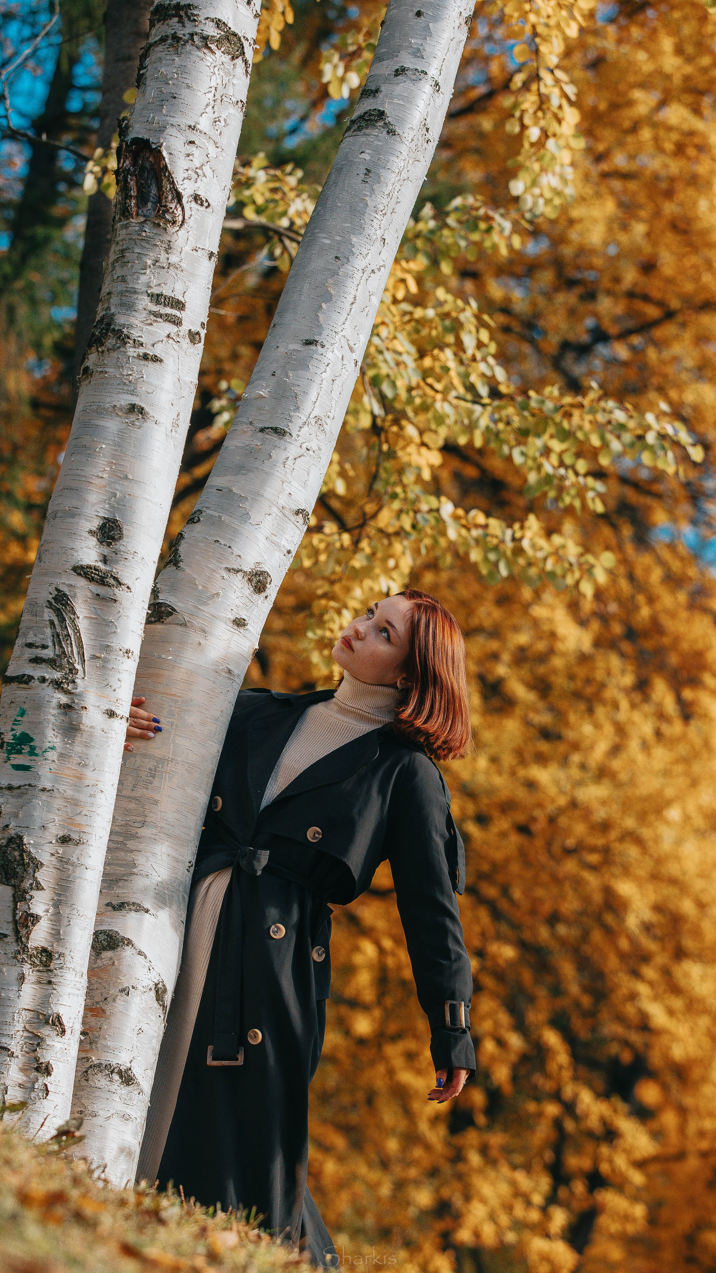 Света. Главная