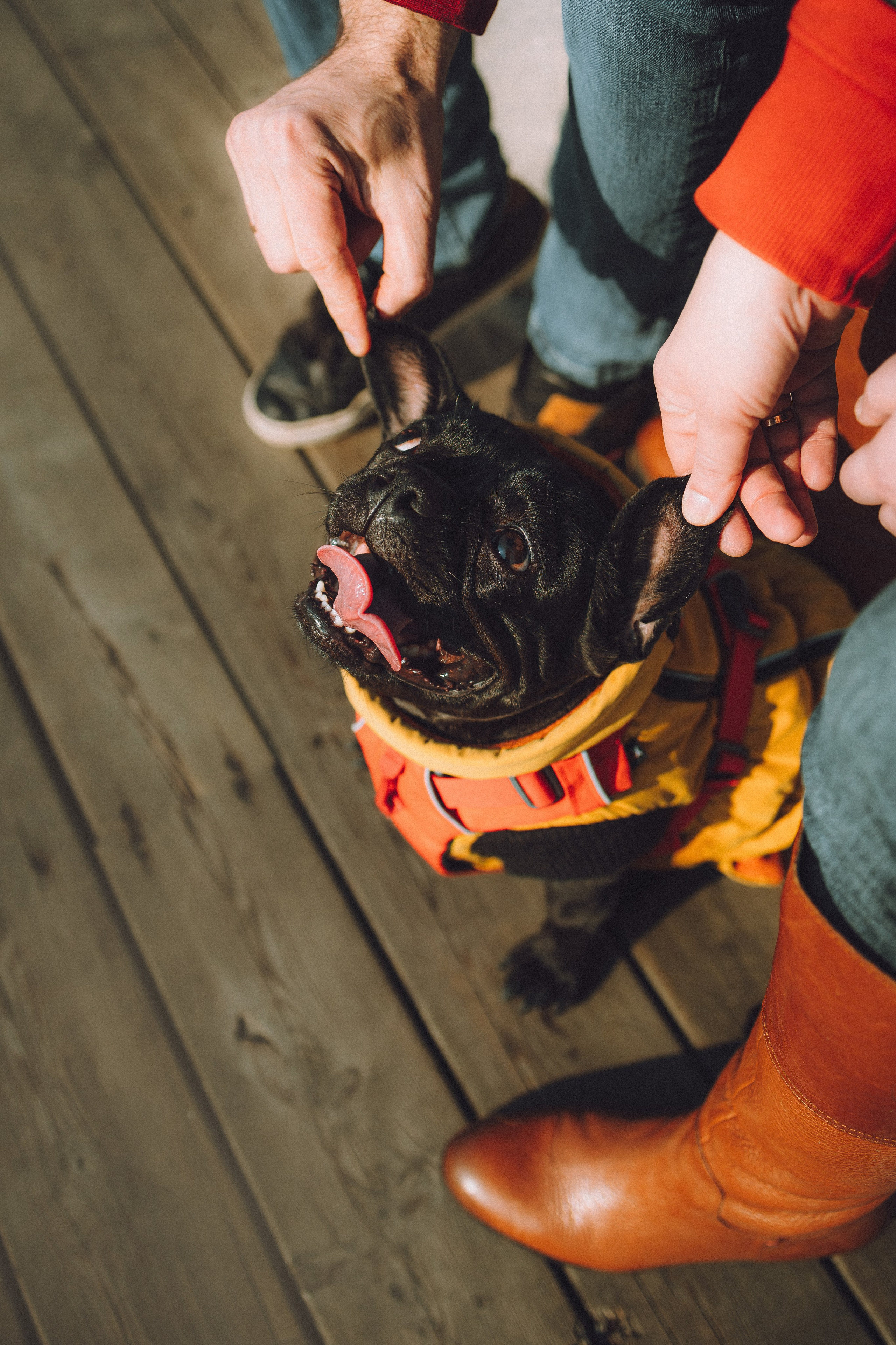 Саша, Дима и Шпуля