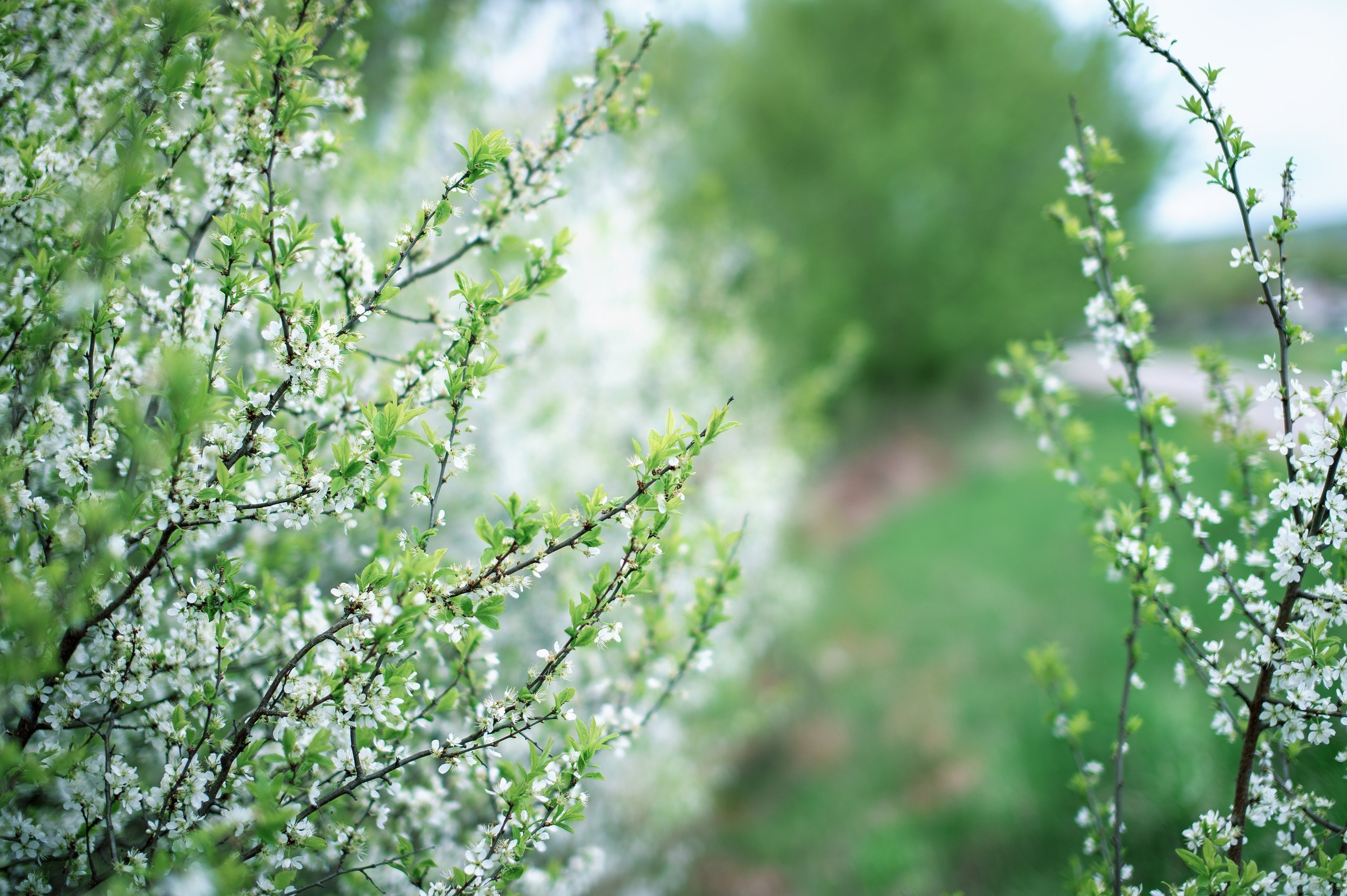 Отзывы. Фотограф Духина Наташа