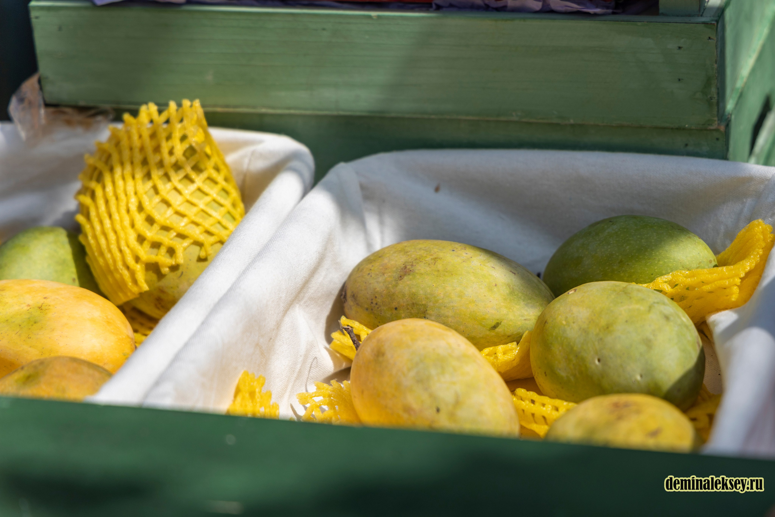 Фестиваль Дни индии на Манежной площади. Репортажный, семейный и студийный фотограф в Москве Демин Алексей