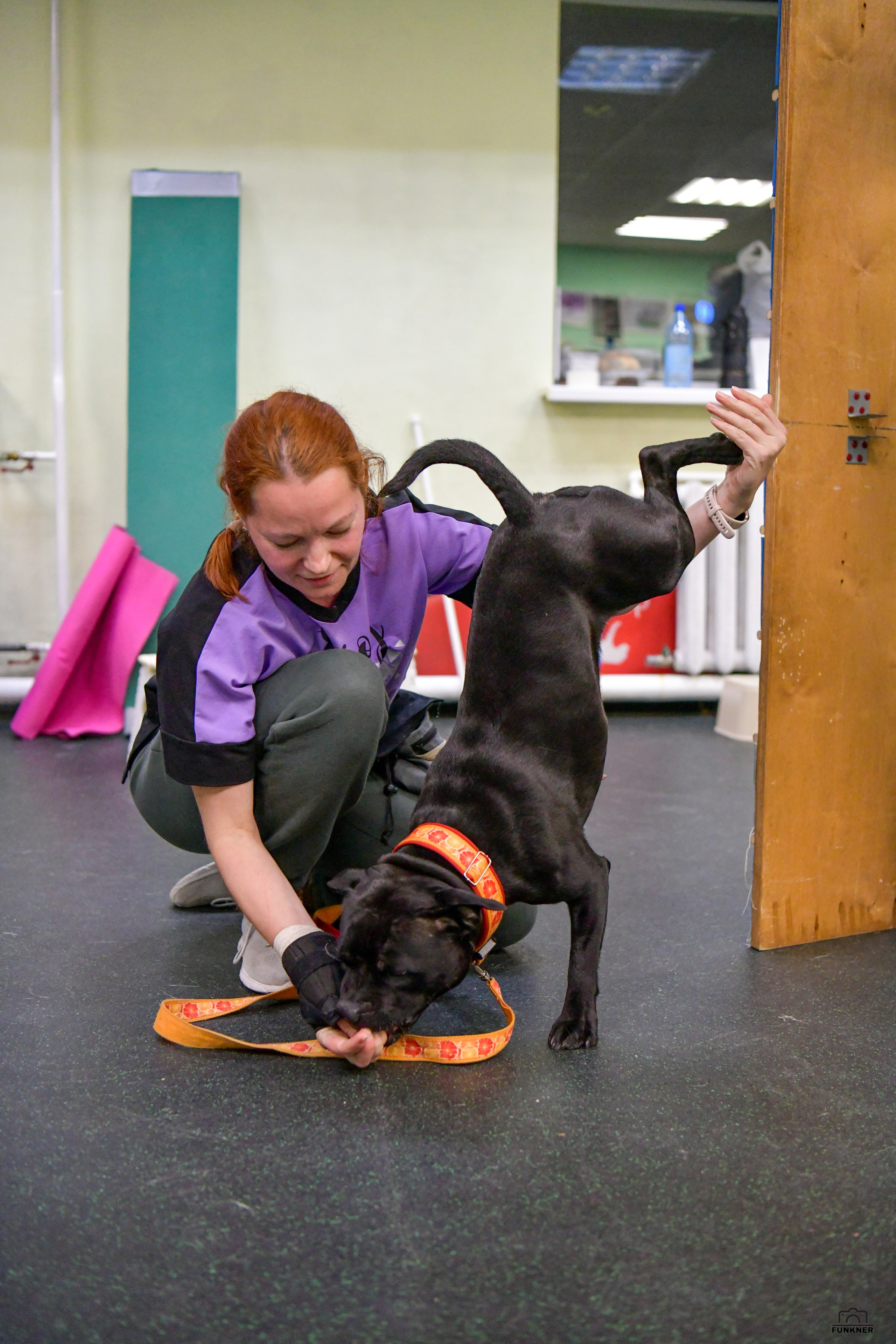 Кинологический клуб «Бодрый хвост». Свой взгляд через объектив
