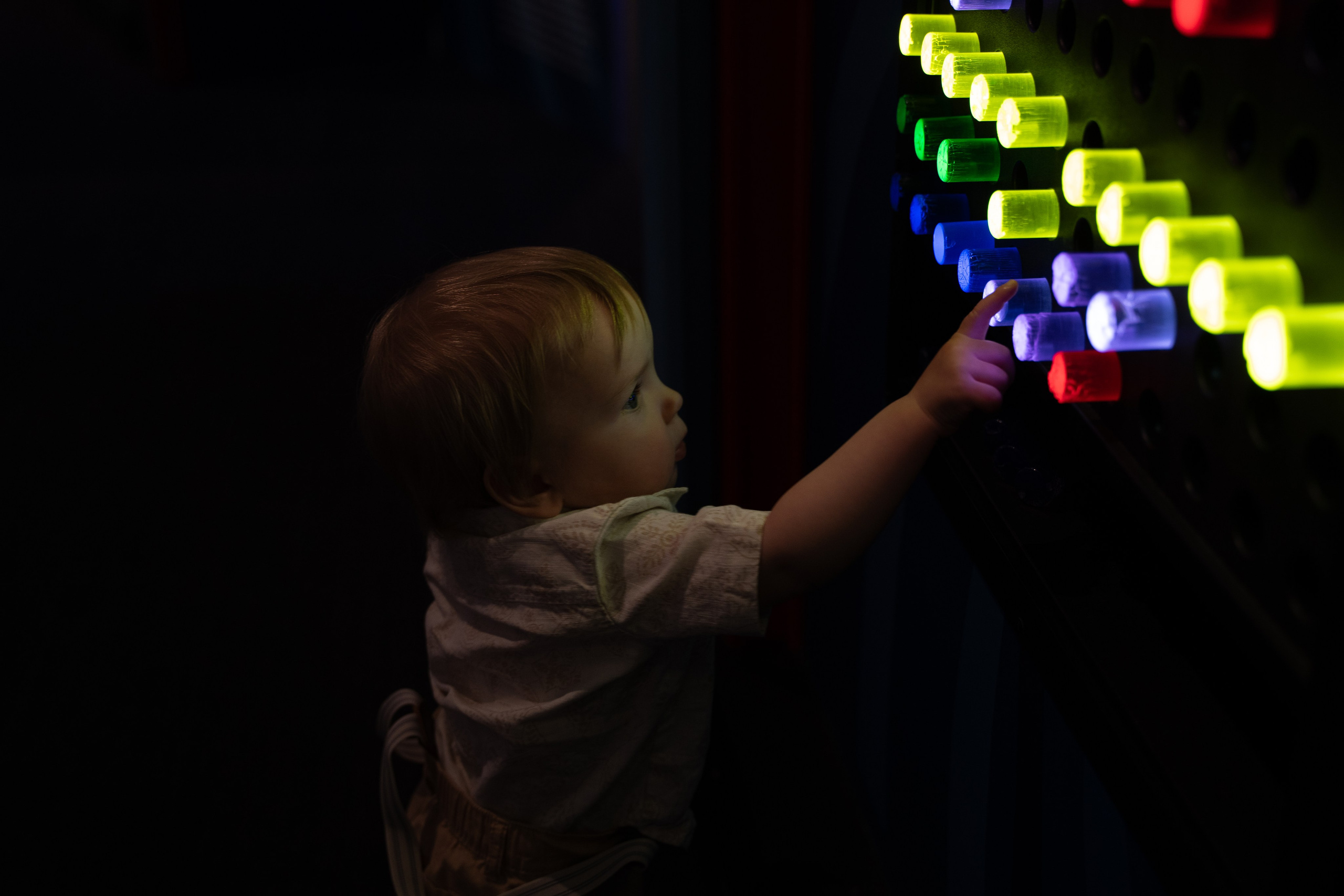 Took root. Wedding & engagement photographer in Seattle, WA. Tania Maureira