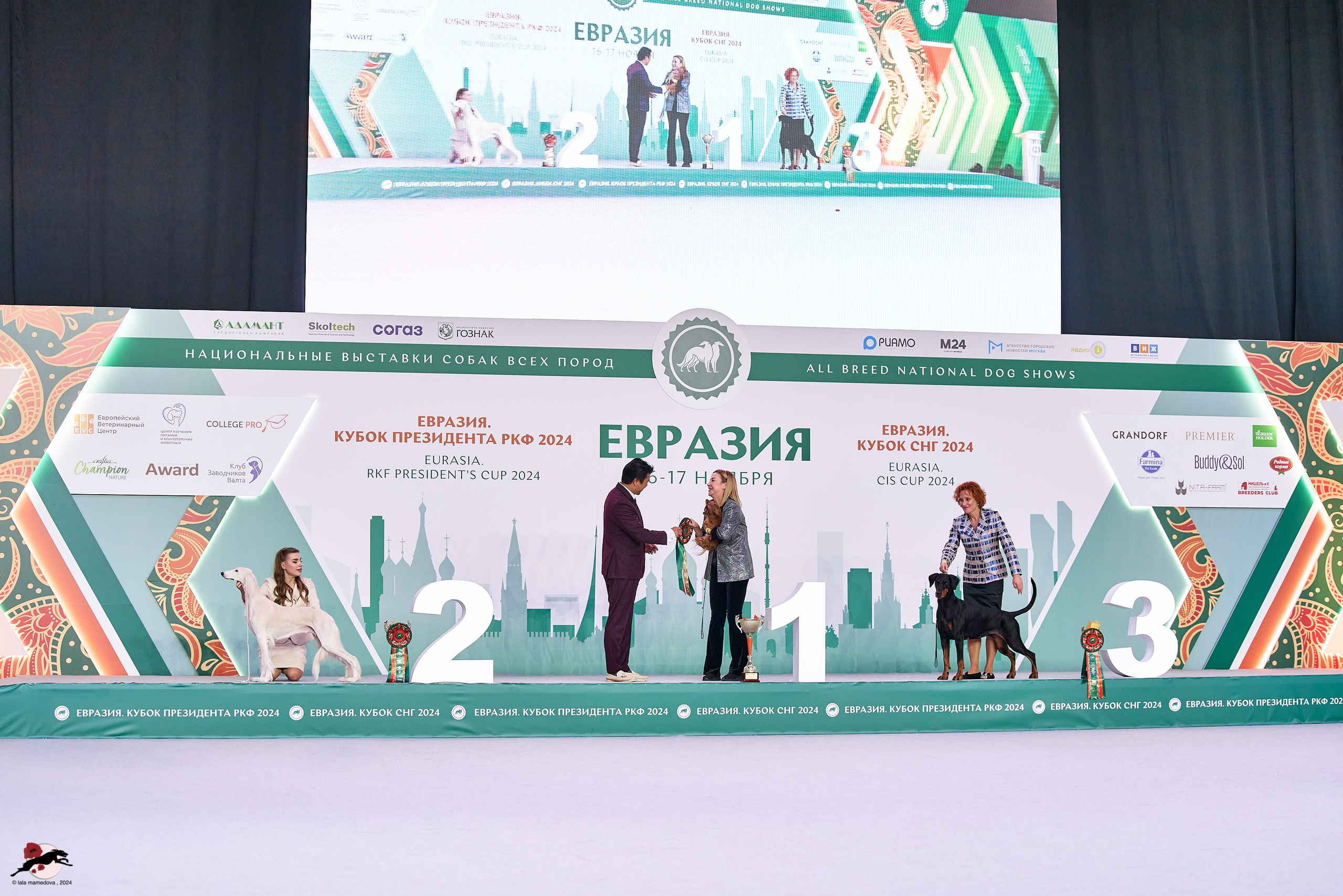 17.11.2024 «ЕВРАЗИЯ. КУБОК СНГ 2024»